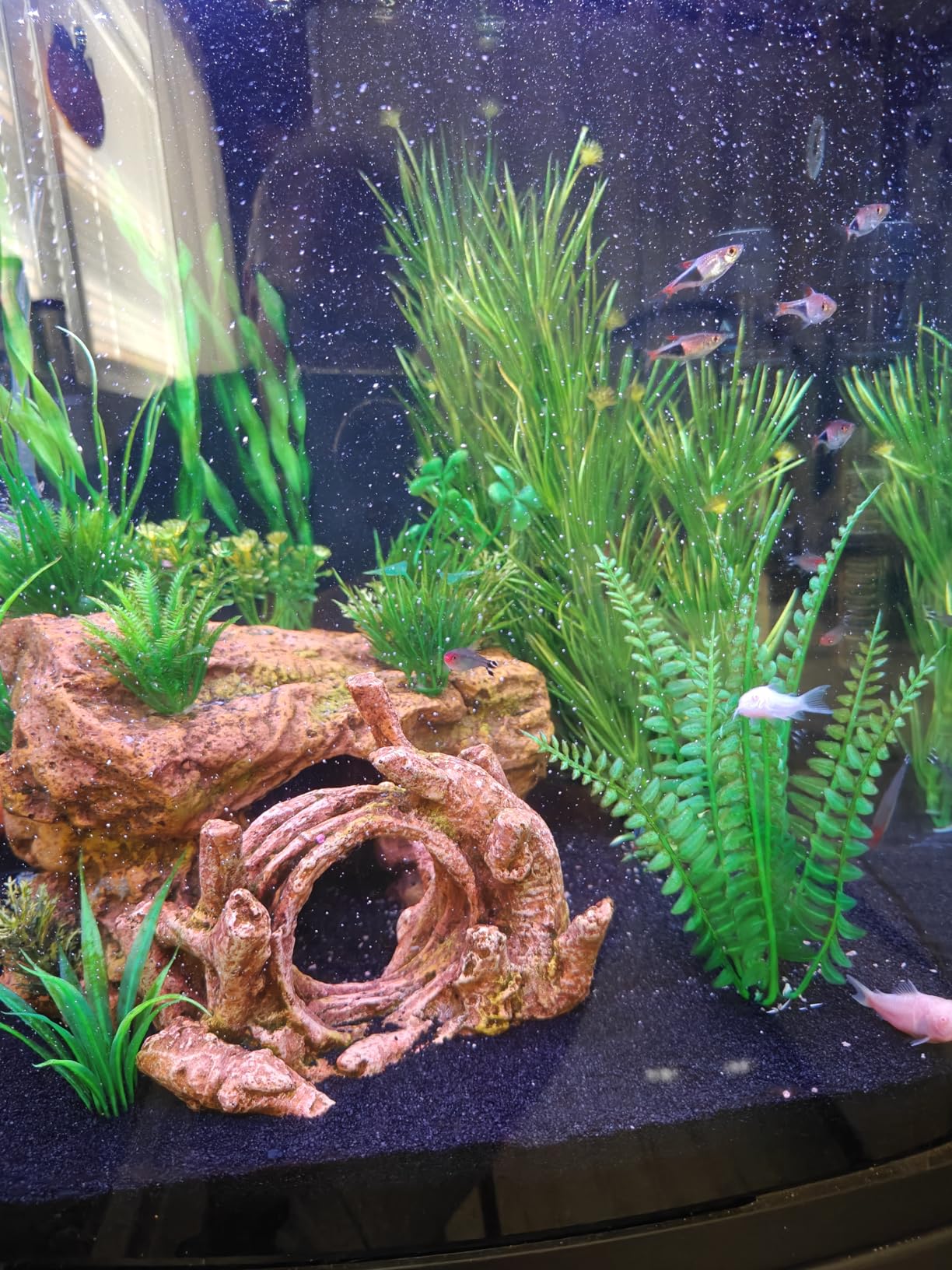 Coralife LED Biocube Aquarium Starter Kit, 16 Gallon Tank for Beginners customer photo 1