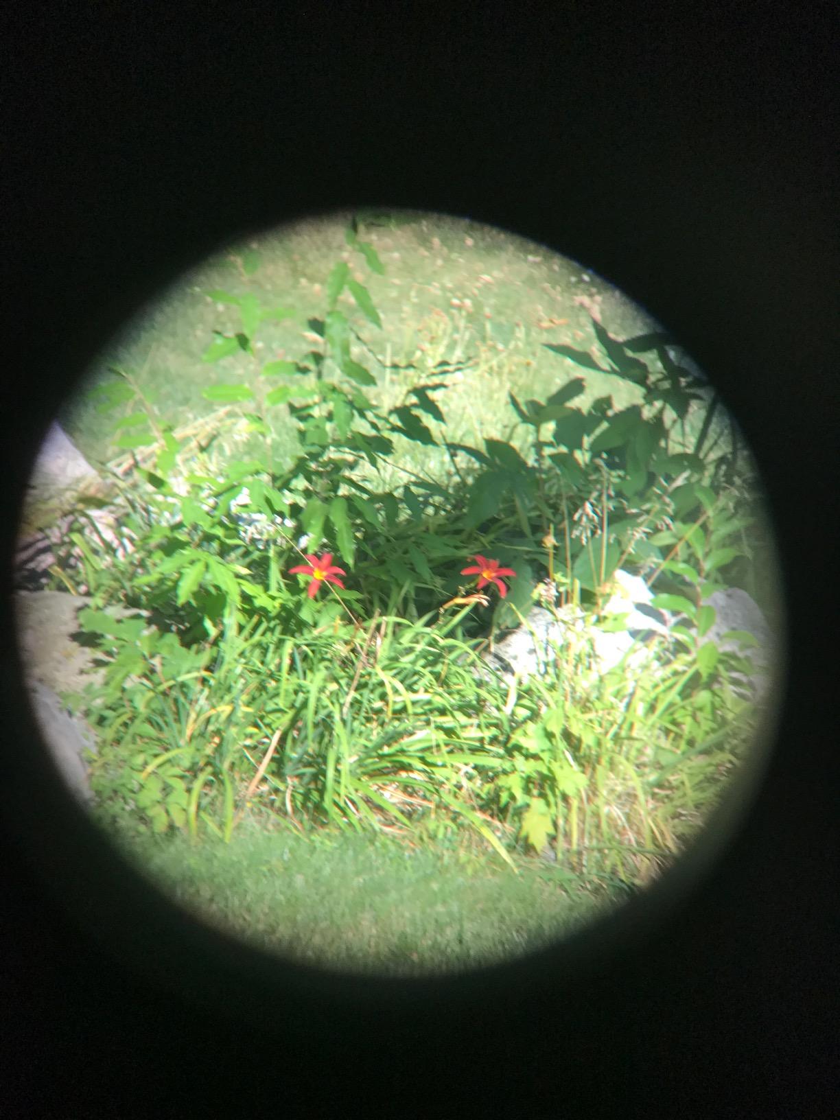 Gosky Titan 12x50 Monocular for Adults High Powered with Phone Adapter customer photo 2