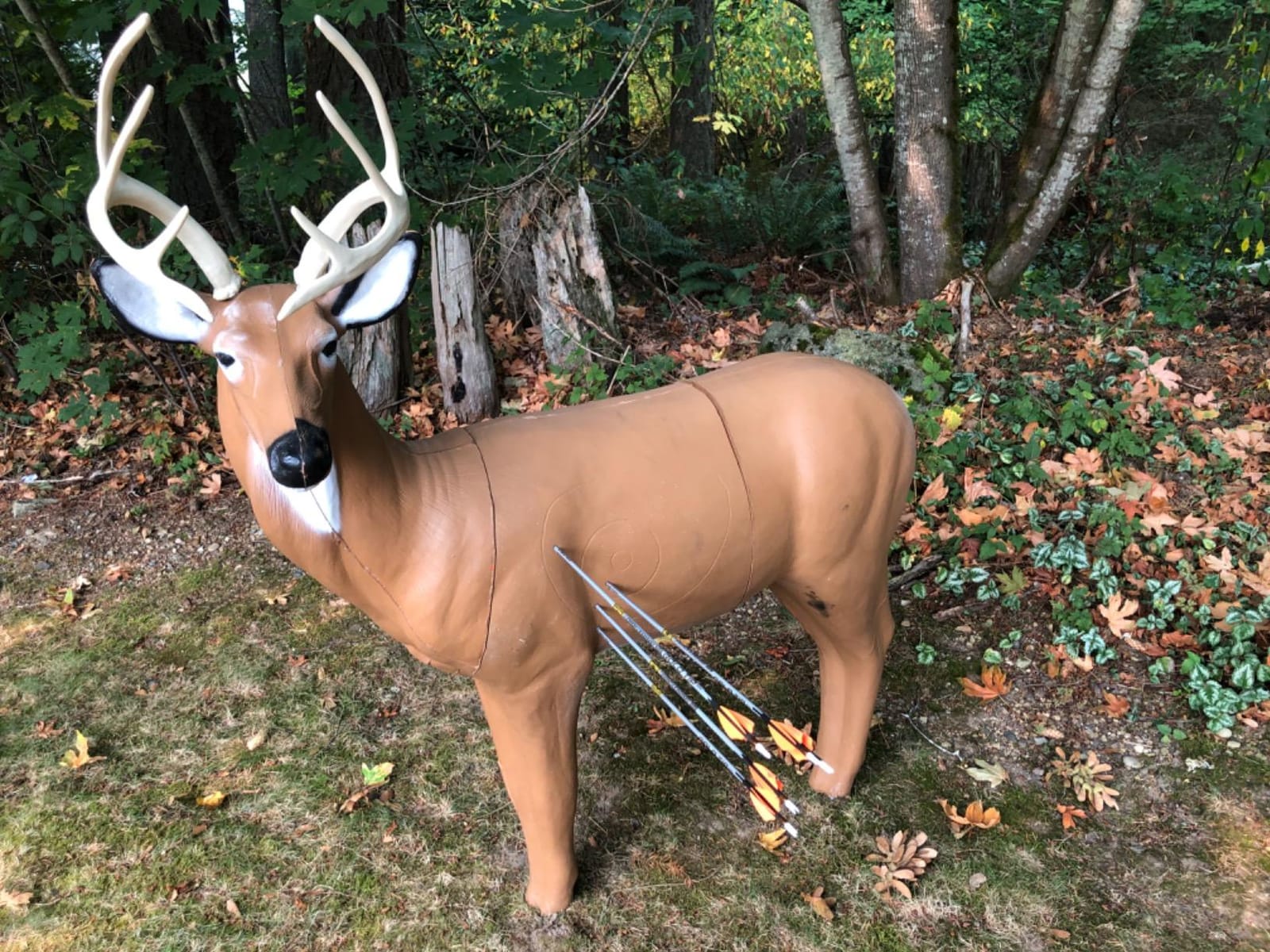 Real Wild 3D Big Buck Archery Target with Replaceable Midsection Core customer photo 2