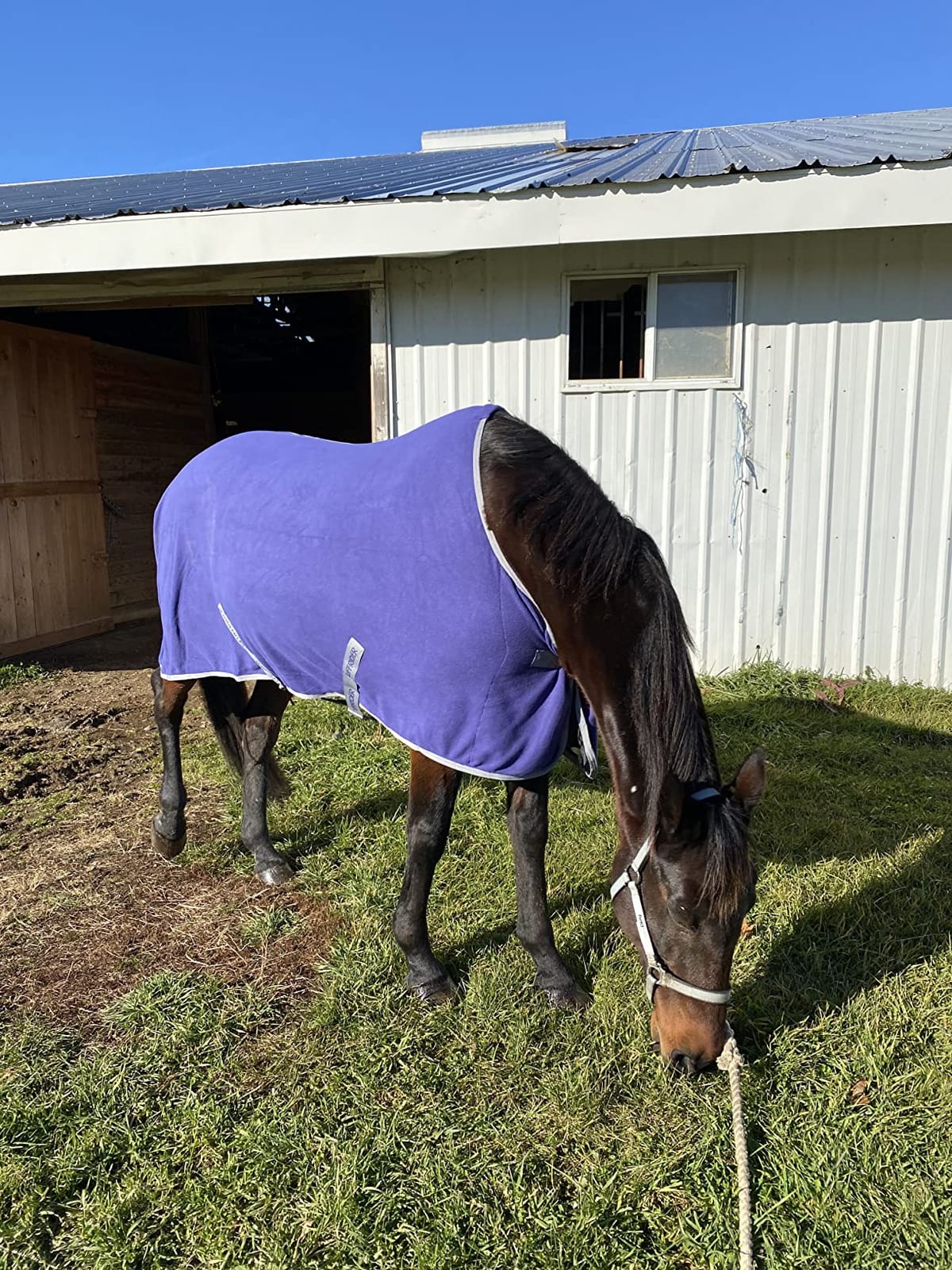 TuffRider Fleece Cooler Sheet for Horse - Black - 87 customer photo 1