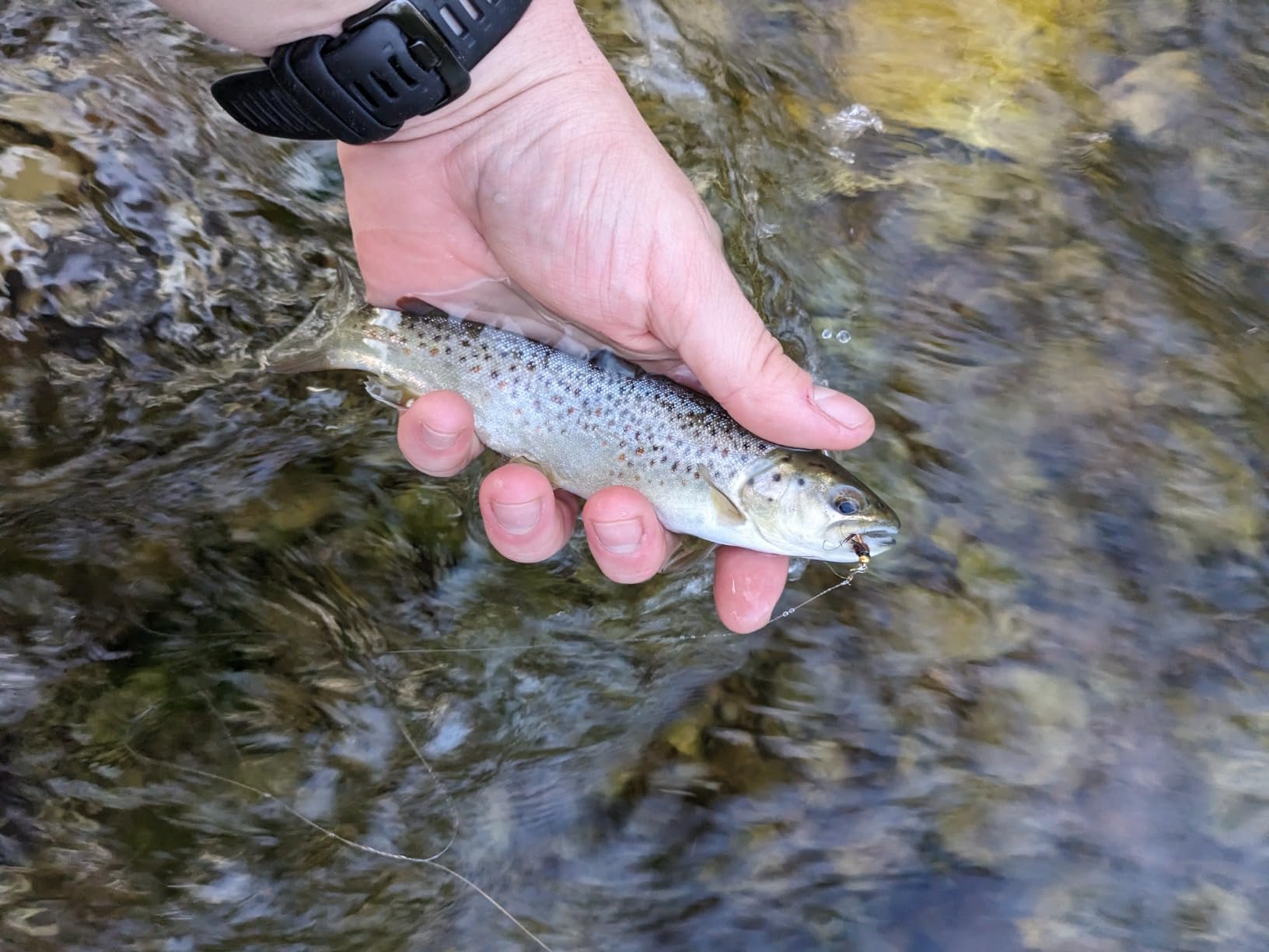 Maxcatch Ultra-Lite Fly Rod for Stream River Panfish/Trout Fishing 1/2/3 Weight and Combo Set Available customer photo 1