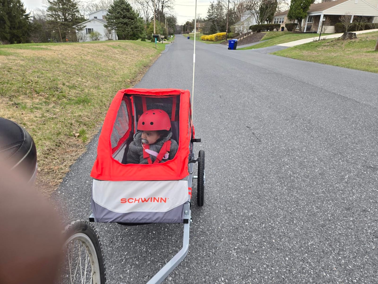 Schwinn Trailblazer Plus Kids Bike Trailer, Single Seat, Universal Coupler, Folding Frame, Quick-Release Wheels, Canopy with Bug Screen and Weather Shield, Schwinn Bike Trailer for Kids customer photo 2