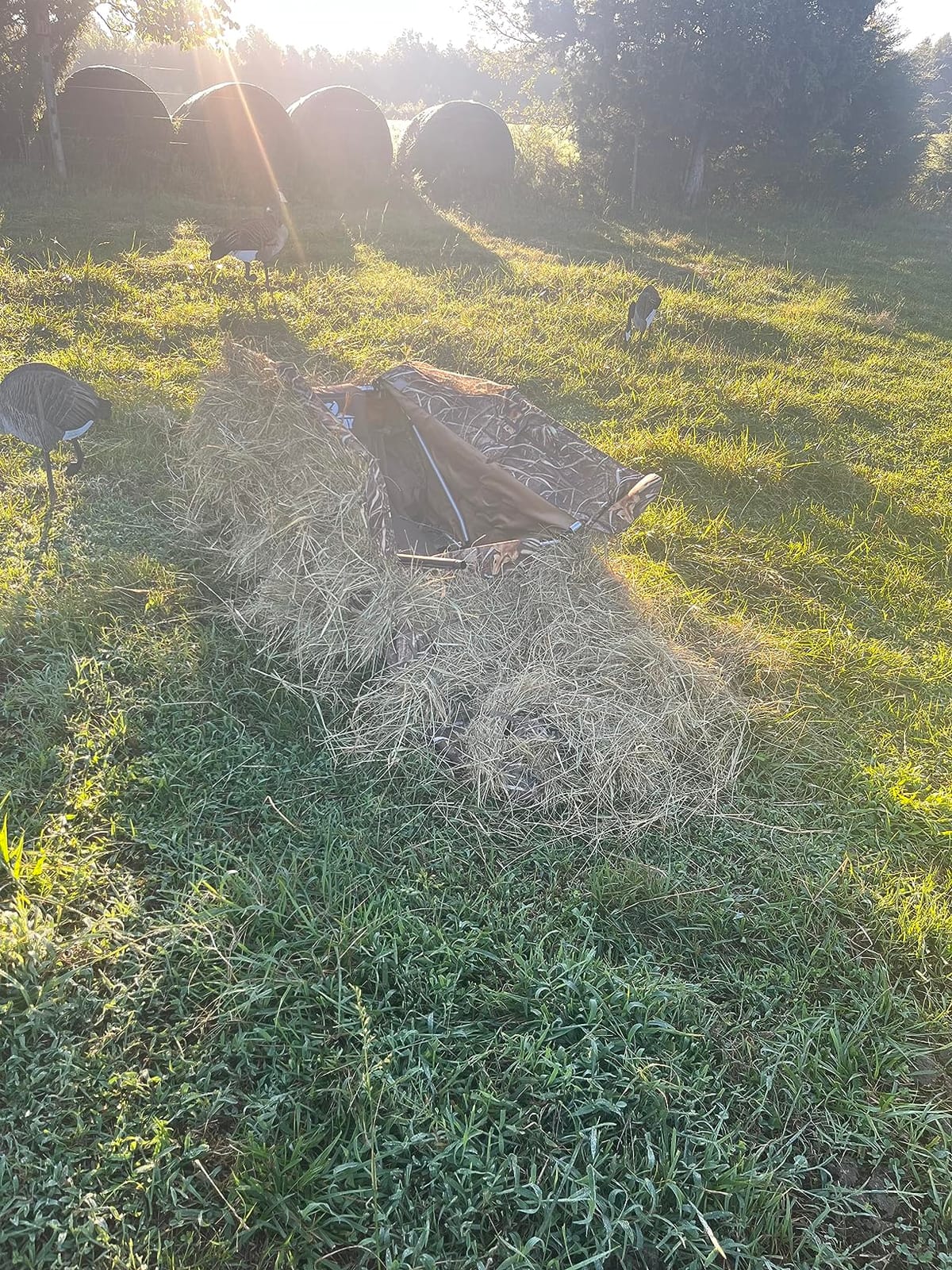 THUNDERBAY Waterfowl Layout Hunting Blind, Waterfowl Field Hunting Blind for Duck Hunting, Aluminum Frame Duck Blind customer photo 2