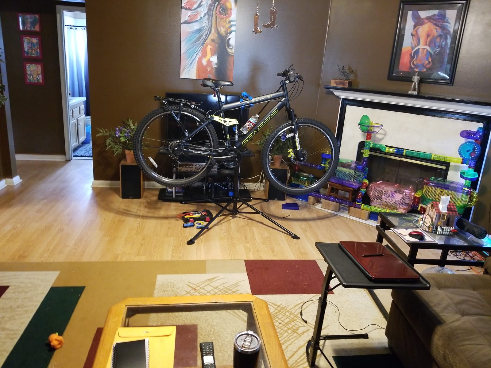 ZENY Adjustable Bike Repair Stand, Bicycle Maintenance Stand customer photo 1