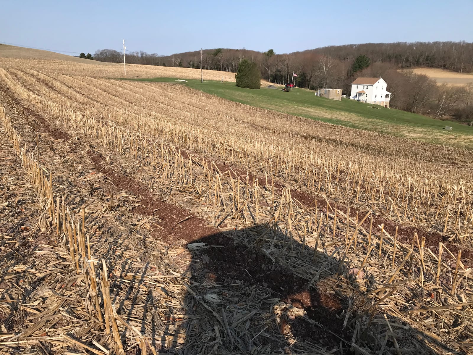 Ripper/Middle Buster Plow/Subsoiler Plow/Potato Plow - Combo Shank, Green customer photo 1
