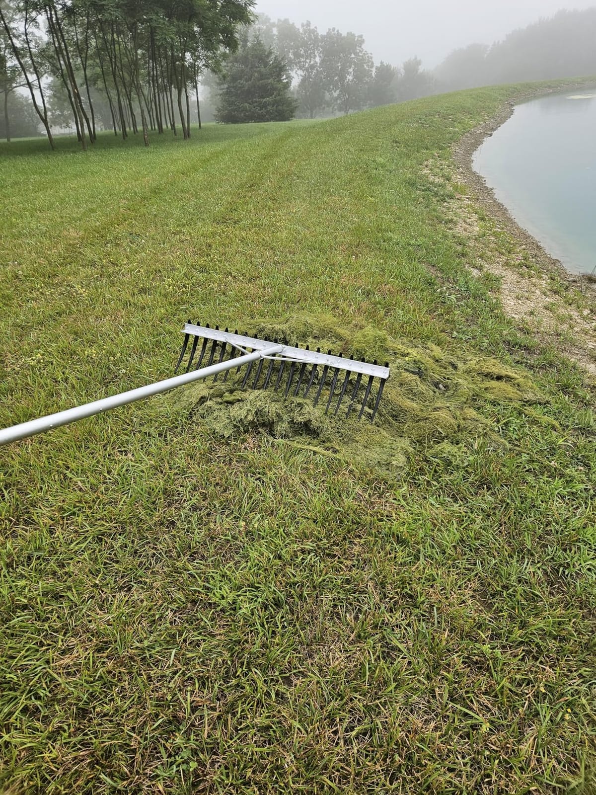 Rake Zilla | Extra-Large Heavy-Duty Lake and Pond Aquatic Weed Rake – 40