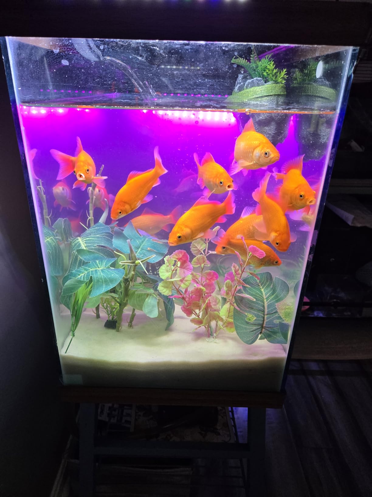 Aqueon QuietFlow Canister Aquarium Filter, Up to 150 Gallons (ECOM) customer photo 1