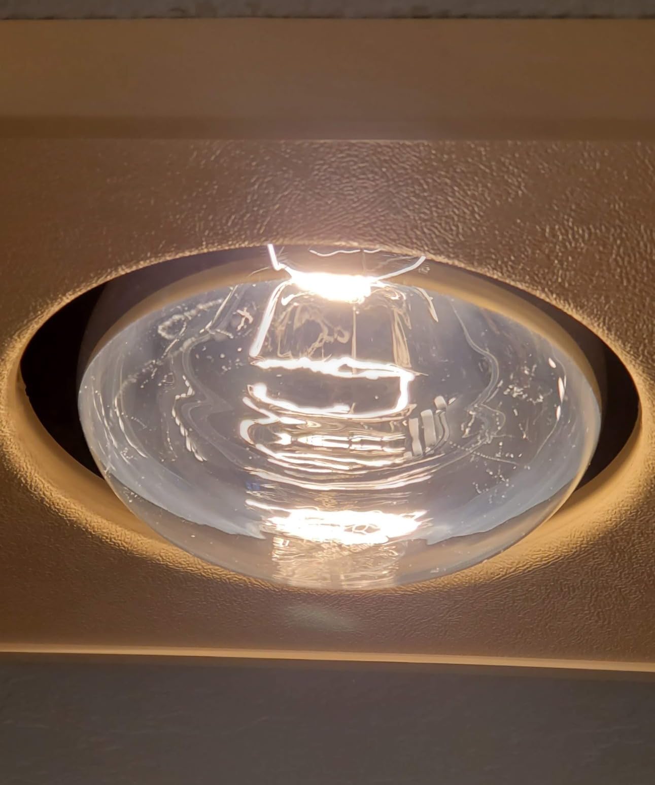KOR 250W R40 Red Incandescent Heat Lamp Bulbs, E26 Medium Base, 2-Pack customer photo 1