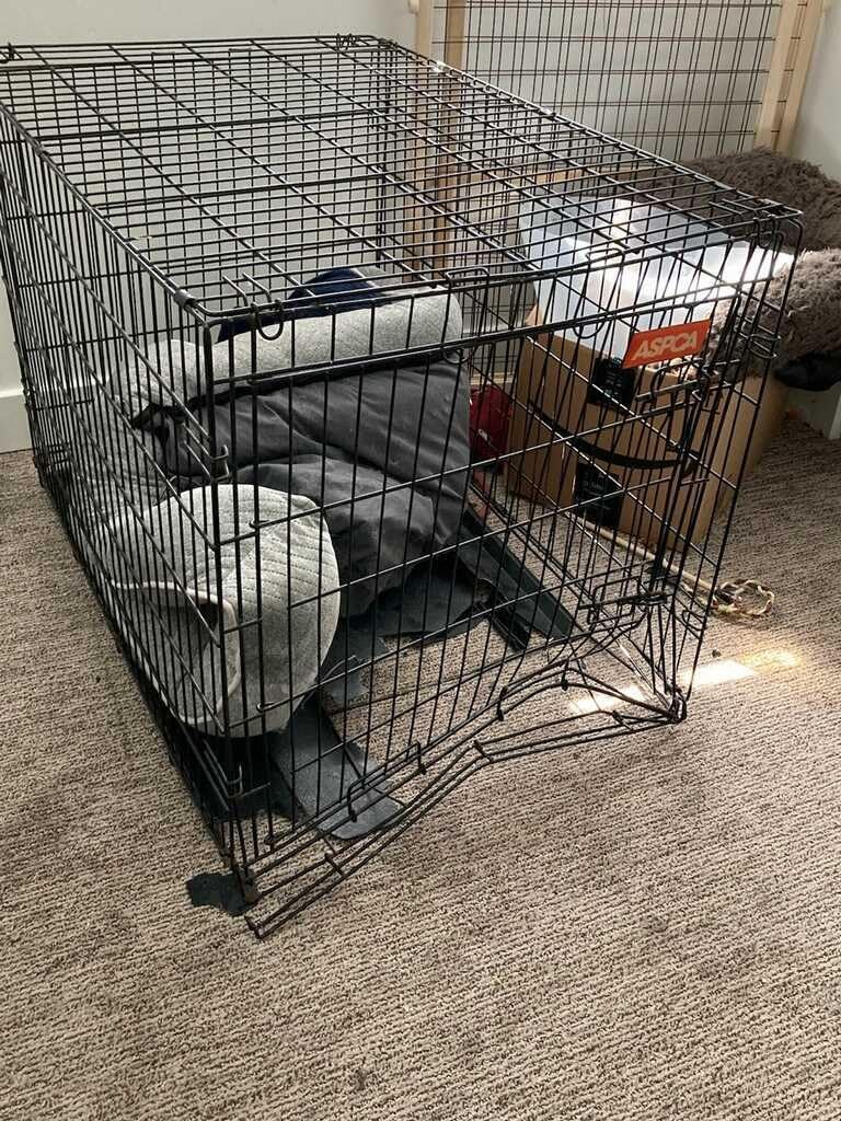 LUCKUP 38 Inch Heavy Duty Dog Cage Metal Kennel and Crate for Large Dogs,Easy to Assemble Pet Playpen with Four Wheels,Black … … customer photo 1