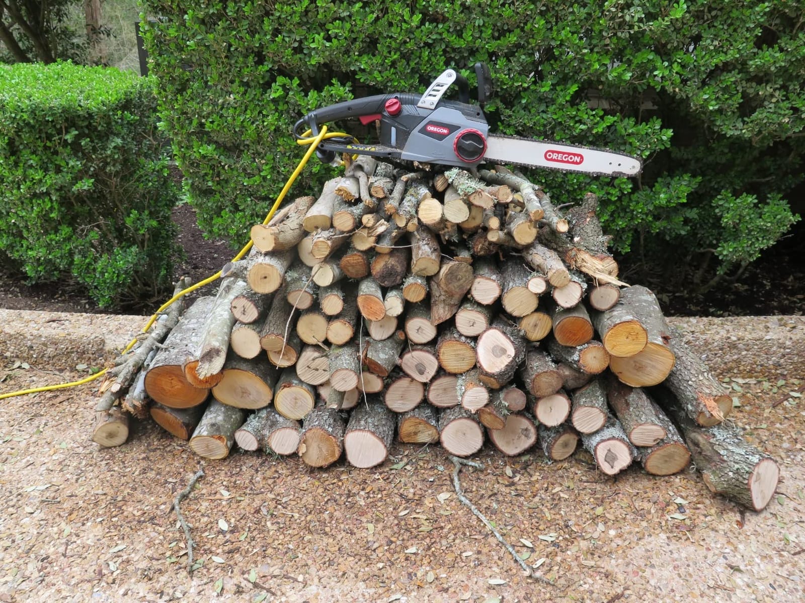 Oregon 2400W Corded Electric Chainsaw with 16