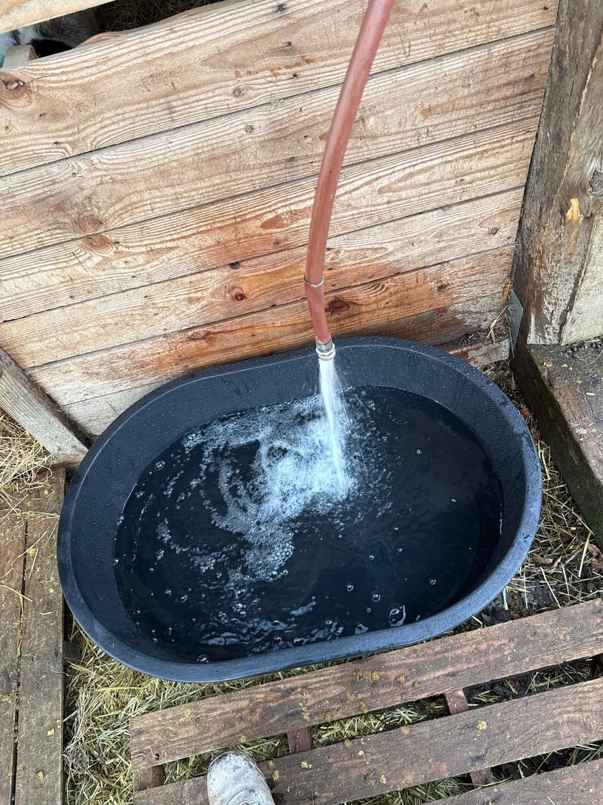 U.S. Pool Supply Professional Spa, Hot Tub, Pool Hand Leaf Skimmer Net with customer photo 1