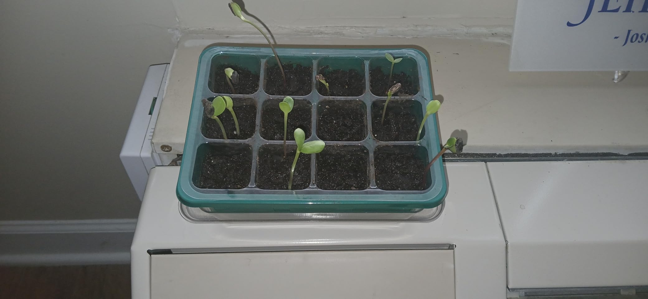 MIXC 10 Pack Seed Starter Tray, 120Cell Stater Kit with Humidity Dome Green customer photo 2