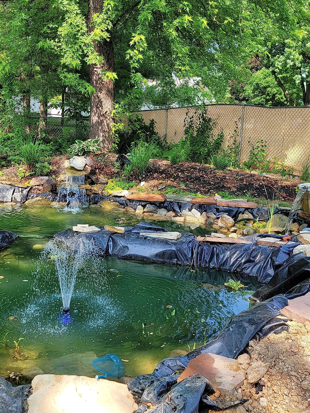 660GPH Submersible Pump Pond Fountain with Inside Filter and RGB Colorful LED Light, Multiple Water Fountain Spray Nozzles Kit for Garden PondIndoor and Outdoor Landscape customer photo 1