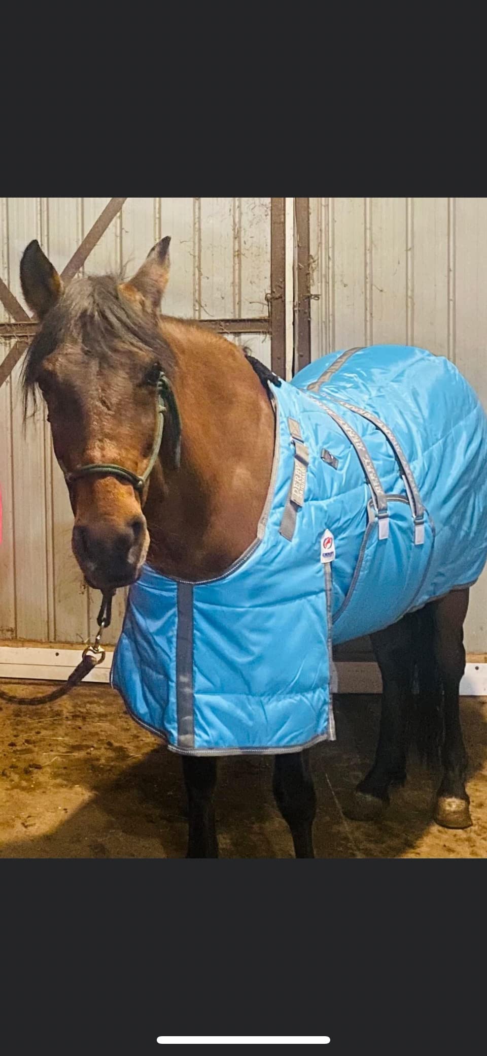 Derby Originals Nordic-Tough 600D Closed Front Horse Stable Blanket – Medium Weight, 200g Insulation, Breathable Triple-Layer Design, 170T Lining, Belly Wrap, for Indoor Use Only (Charcoal, 60