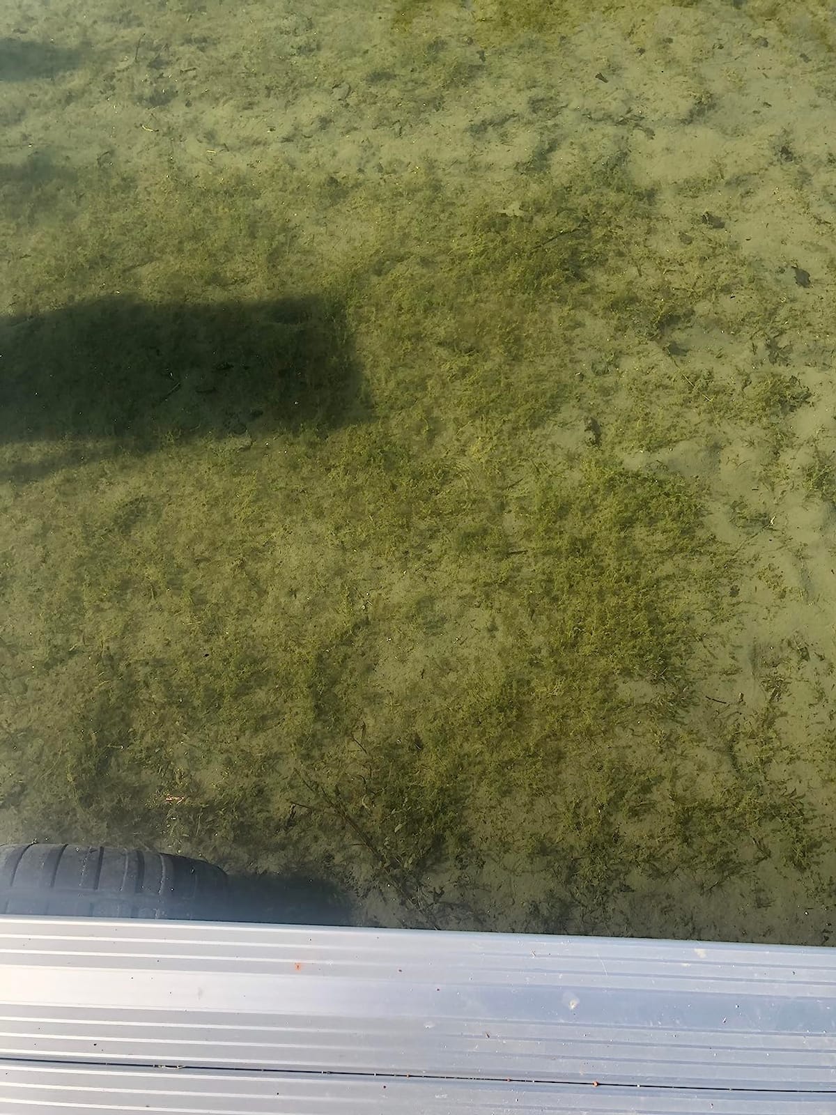Jenlis Muck Razer Aquatic Weed & Sludge Tiller for Pond & Lake Shorelines customer photo 1