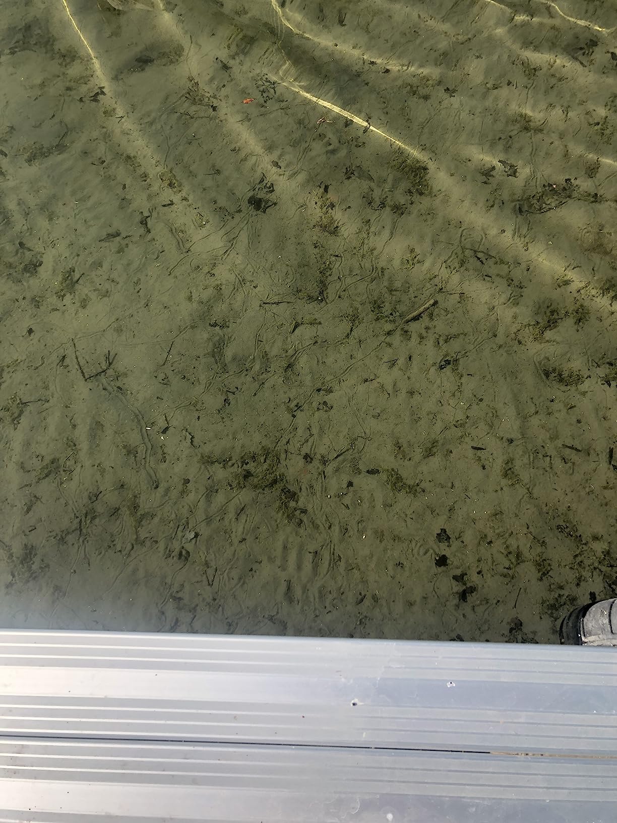 Jenlis Muck Razer Aquatic Weed & Sludge Tiller for Pond & Lake Shorelines customer photo 2
