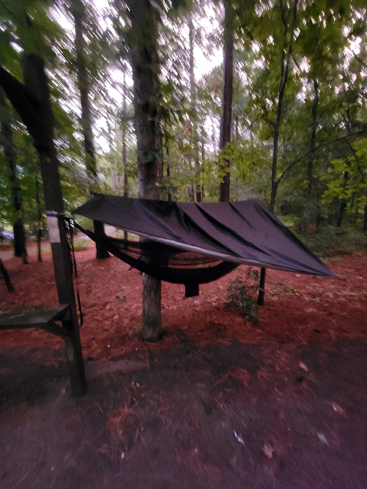 Camping Hammock with Mosquito Net and Rain Fly - Travel Hammock Bug Net - Hammock Tent for Outdoor Hiking Backpacking Travel Camping Accessories and Camping Gear… customer photo 1