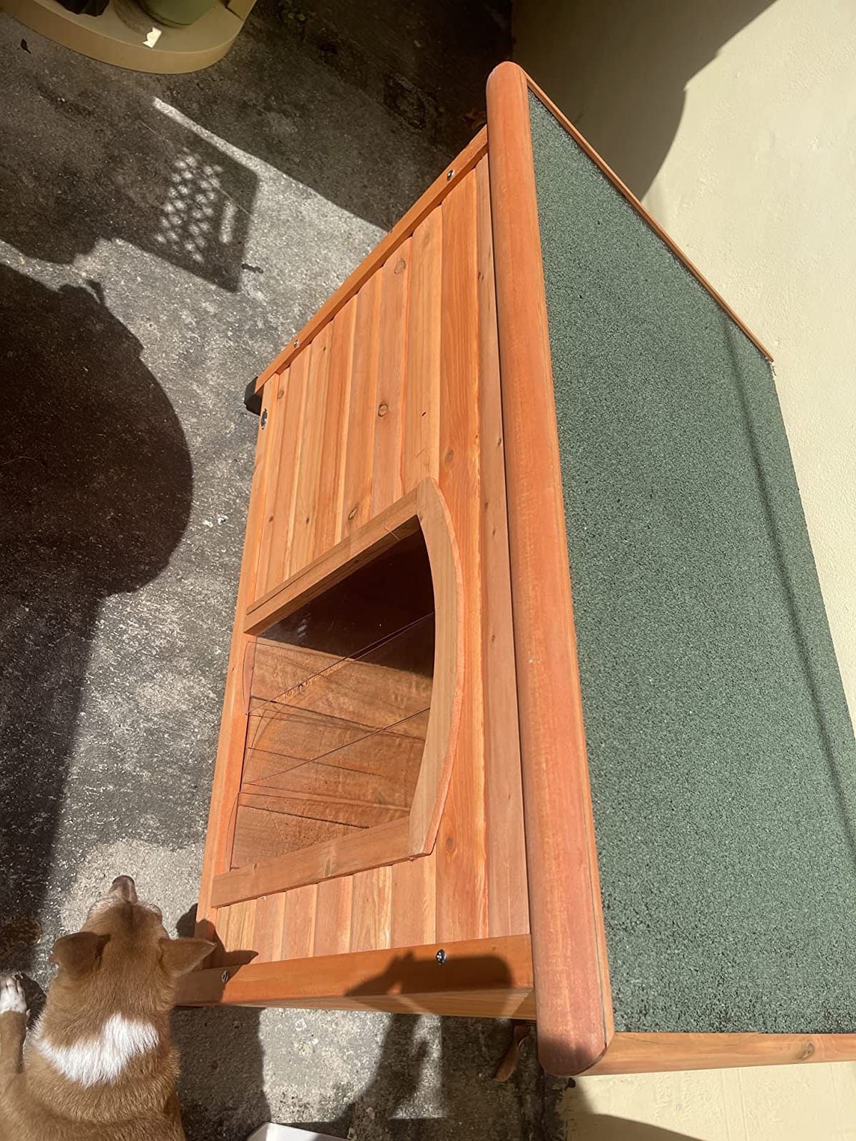 Trixie Natura Classic Dog House - Wooden Outdoor Shelter with Weatherproof Sealer, Hinged Roof & Adjustable Legs for Medium Dogs - Gray - 27 x 41 x 28.5 in customer photo 1