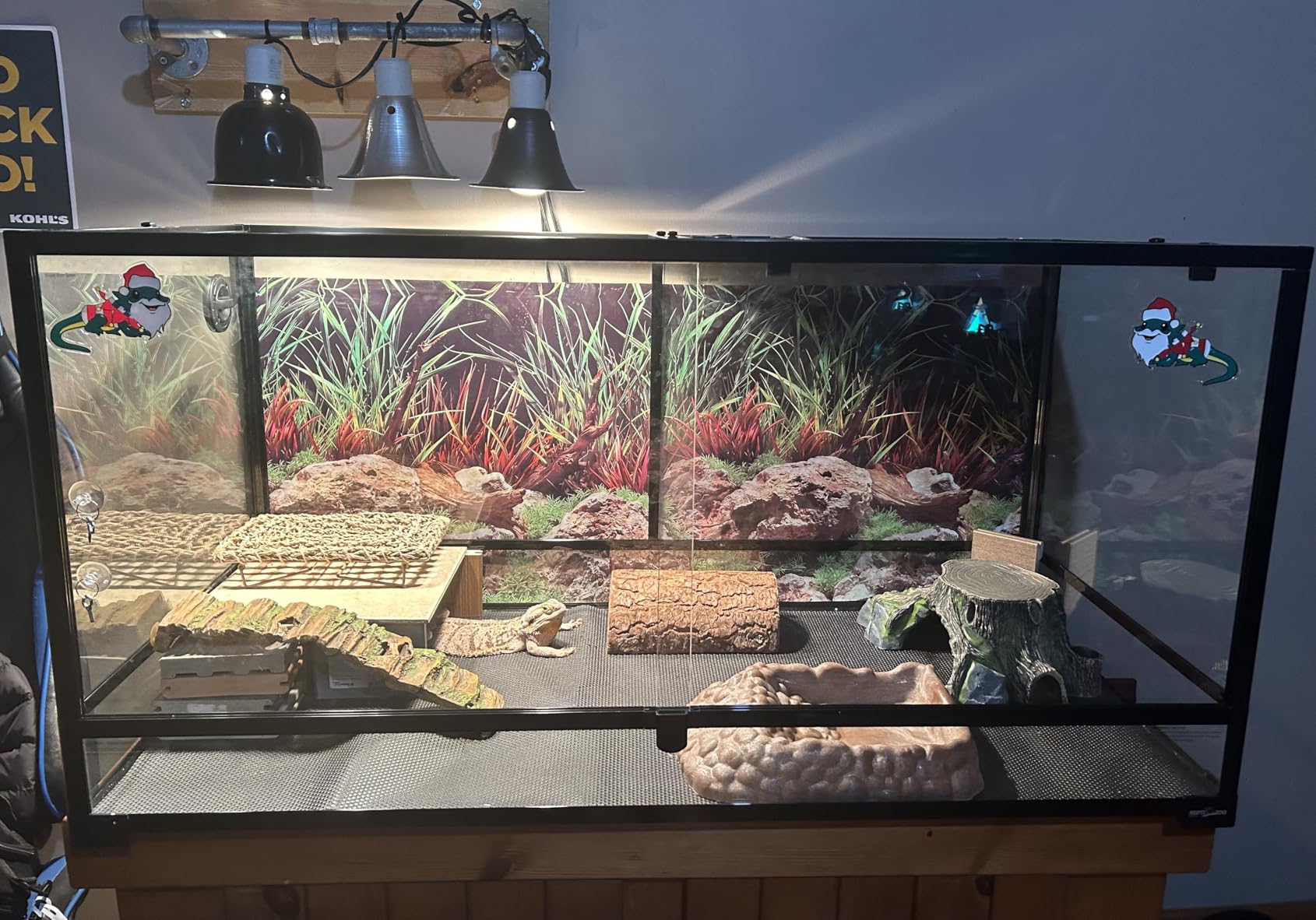 REPTIZOO Large Reptile Terrarium 120 Gallon, Tall & Wide Tempered Glass Reptile Tank 48
