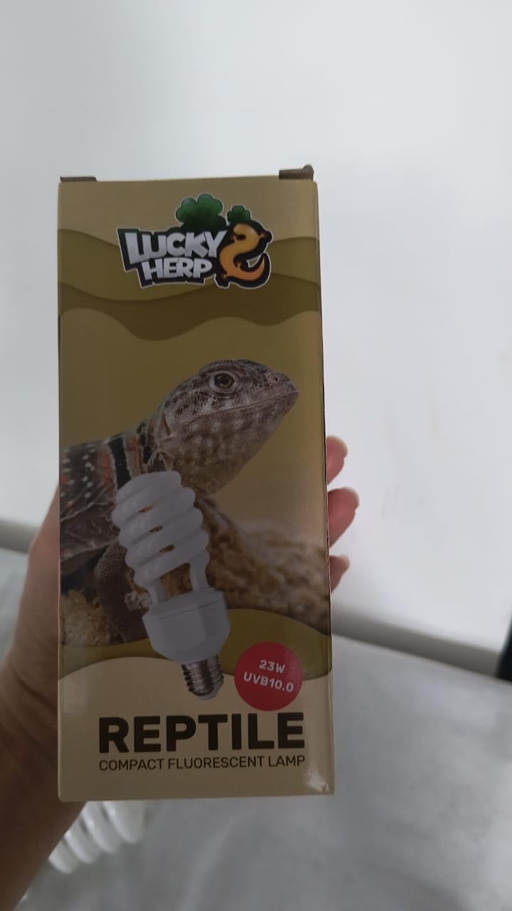 LUCKY HERP UVA UVB Reptile Light 10.0, Desert UVB 150 Compact Fluorescent Lamp, UVB Light for Reptiles 23W, UVA UVB Reptile Light Bulb, UVB Bulb for Reptiles Bearded Dragons Lizards Tortoises Snakes customer photo 2