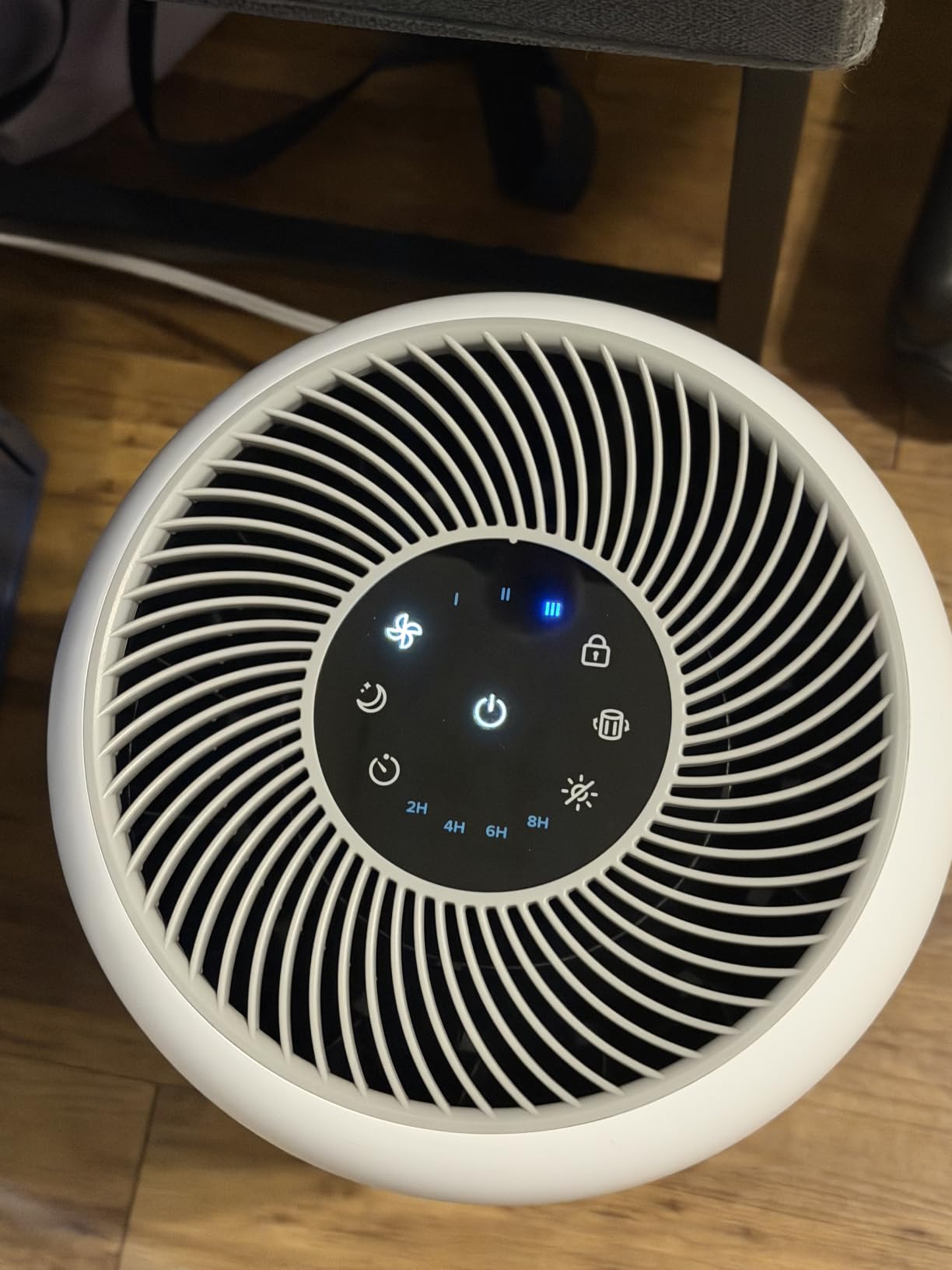 Levoit Air Purifier for Home Pets Hair Allergies in Bedroom Quiet Purifiers customer photo 1