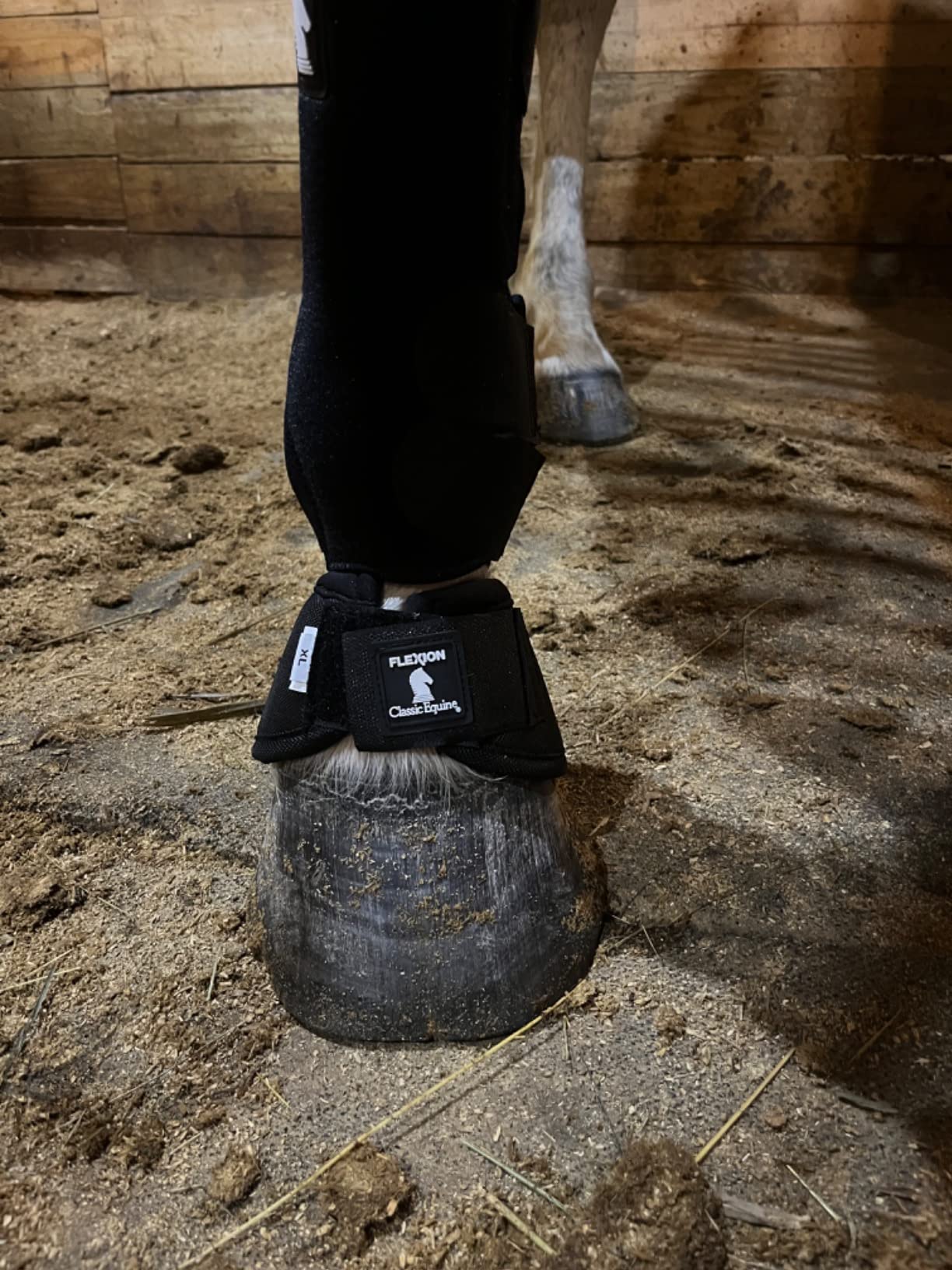 Classic Equine Flexion by Legacy2 Support Boots, Front (Black, Medium) customer photo 2