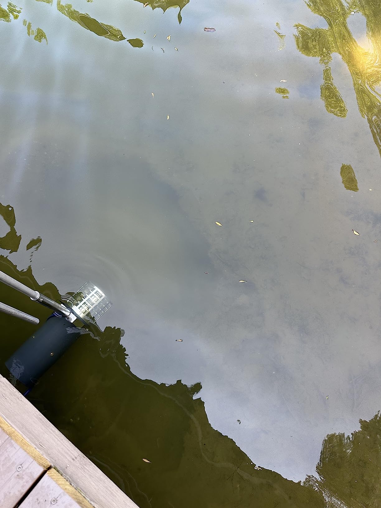 Scott Aerator Aquasweep Muck Blaster | 1 HP 115V Dock Mount 50ft Cord customer photo 1