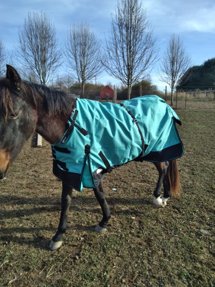 Challenger 1200D Turnout Rain Horse Sheet Light Winter Blanket 371 customer photo 2