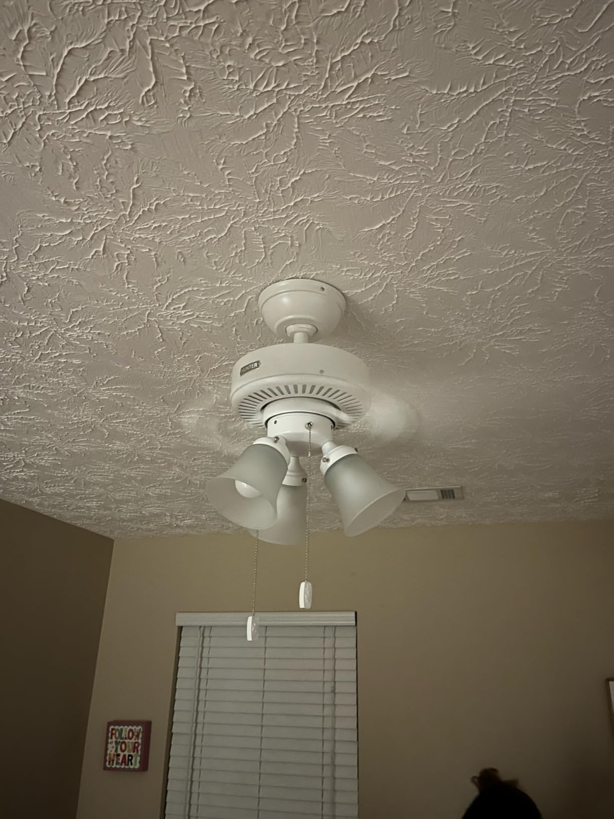 Hunter Swanson, Indoor, Ceiling Fan, with LED Lights, 52 inch, Fresh White customer photo 1