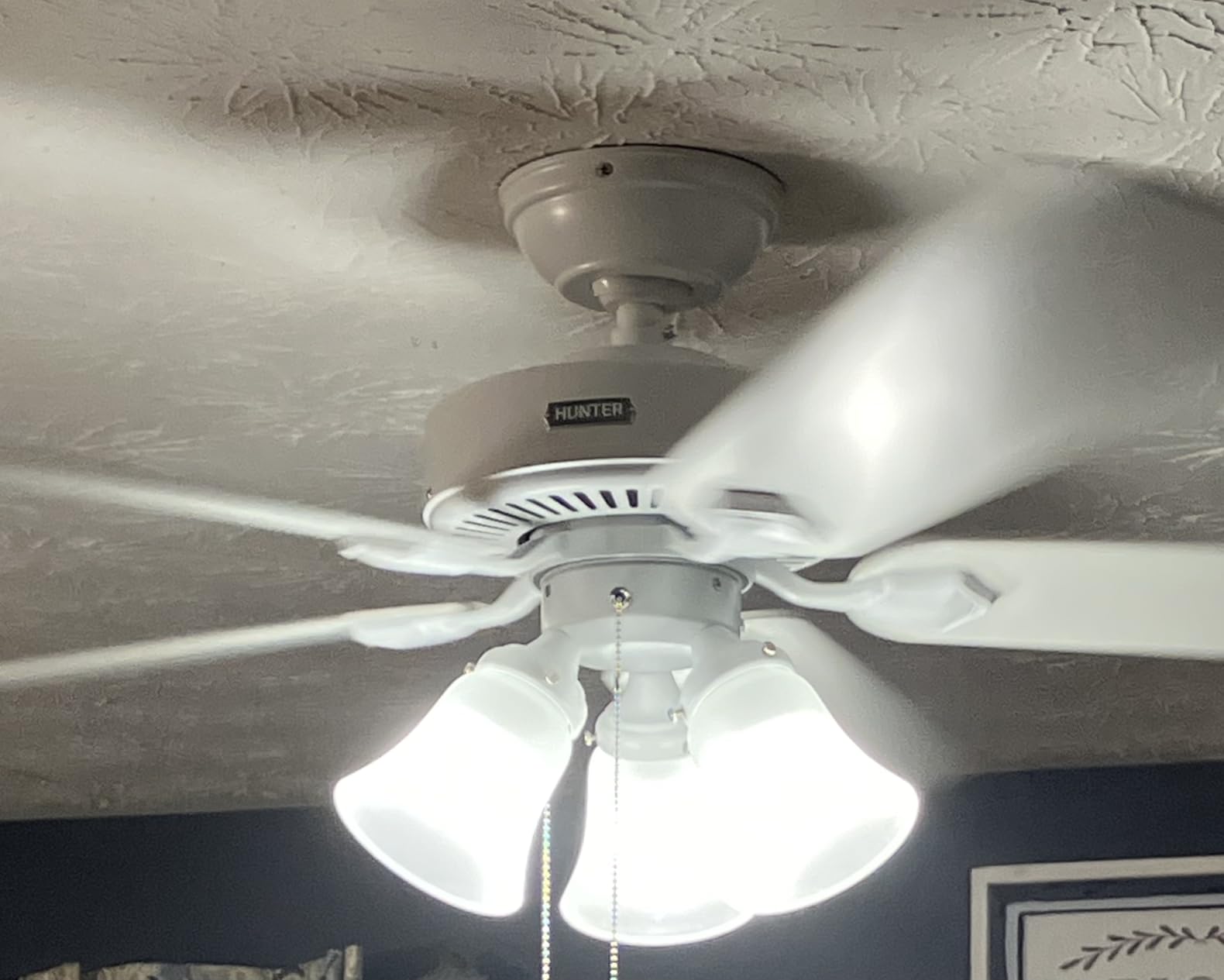 Hunter Swanson, Indoor, Ceiling Fan, with LED Lights, 52 inch, Fresh White customer photo 2