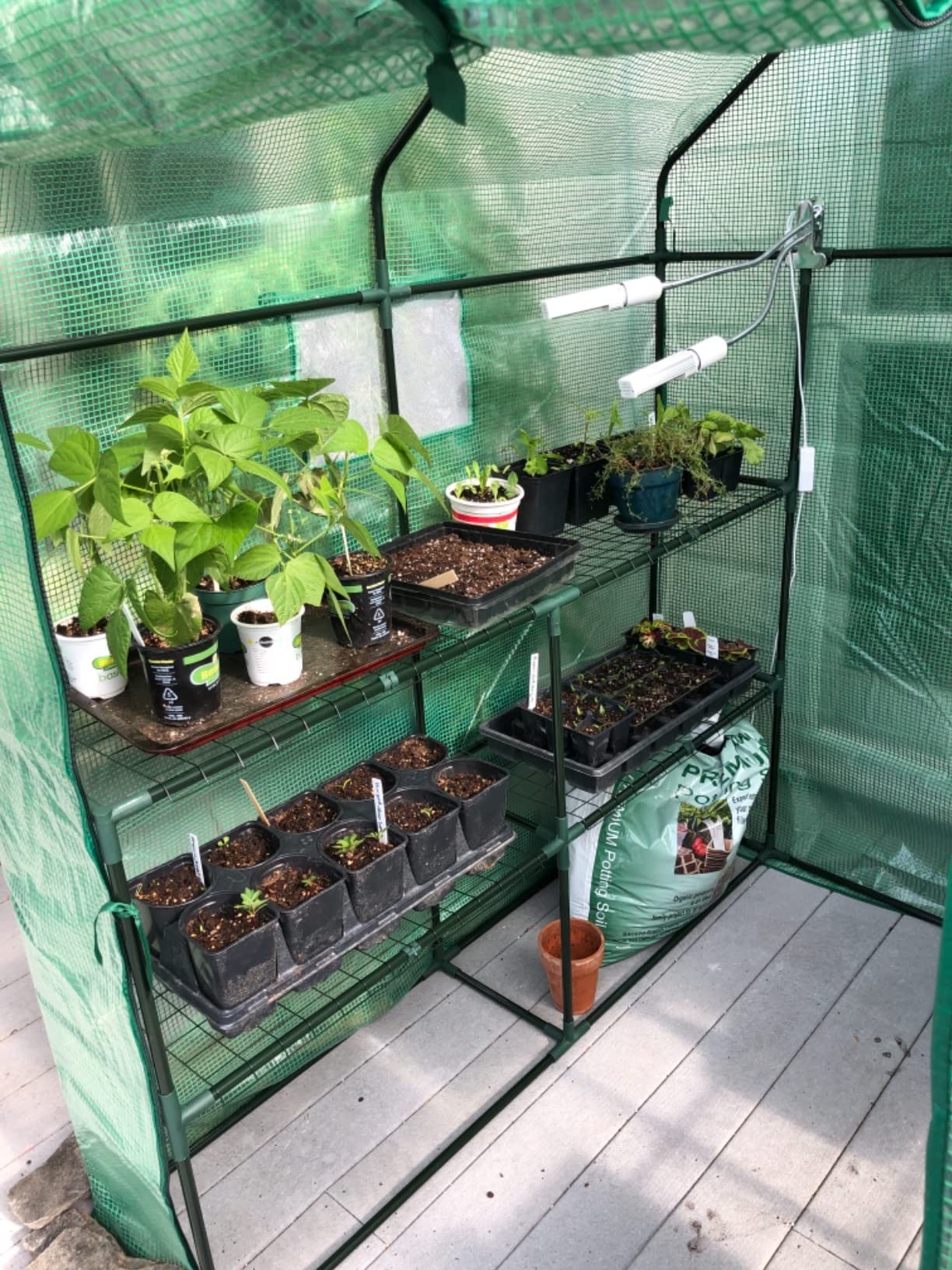 56x30x76 Portable Walk-in Greenhouse for Outdoors, Plant House with Shelves customer photo 1