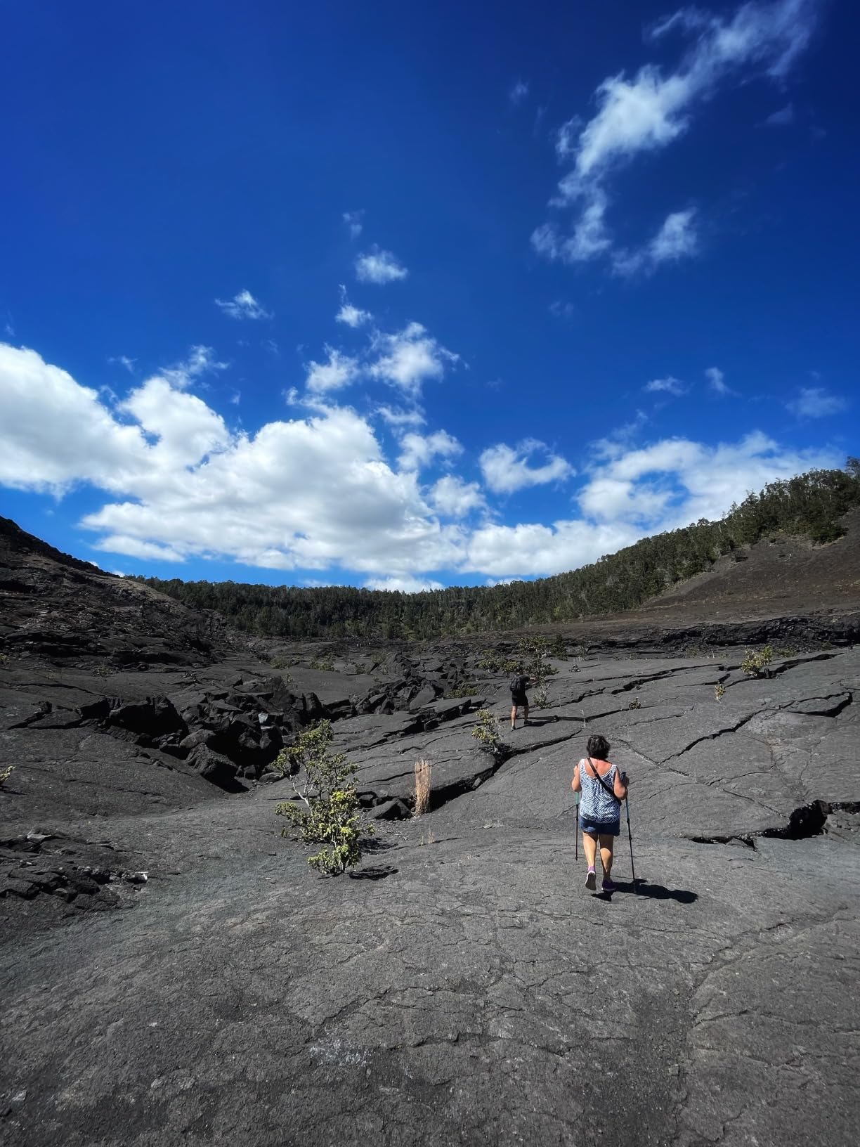 KINGGEAR Trekking Poles 7075 Aluminum Lightweight Hiking Sticks customer photo 2