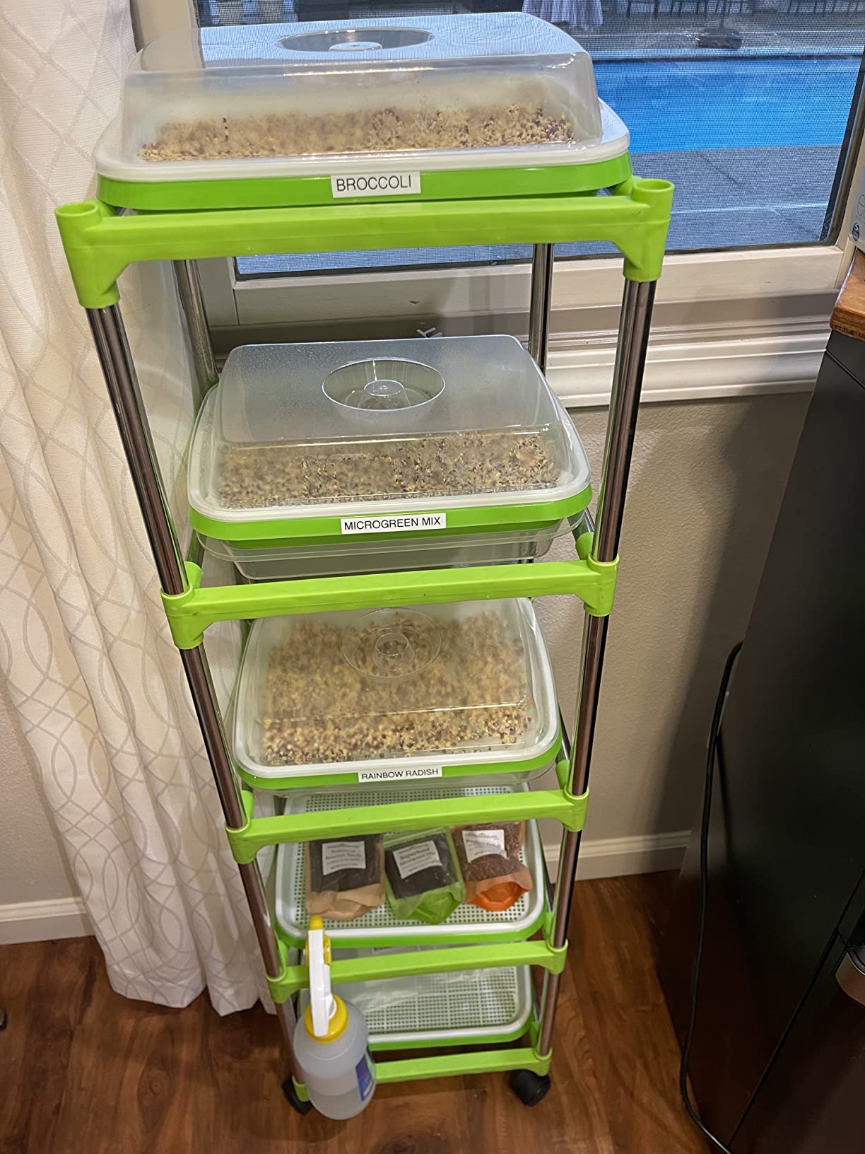 5 Layers Seed Sprouter Trays with Lids and Stainless Steel Shelf customer photo 1