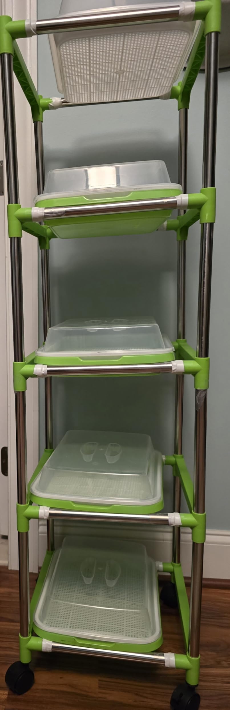 5 Layers Seed Sprouter Trays with Lids and Stainless Steel Shelf customer photo 2