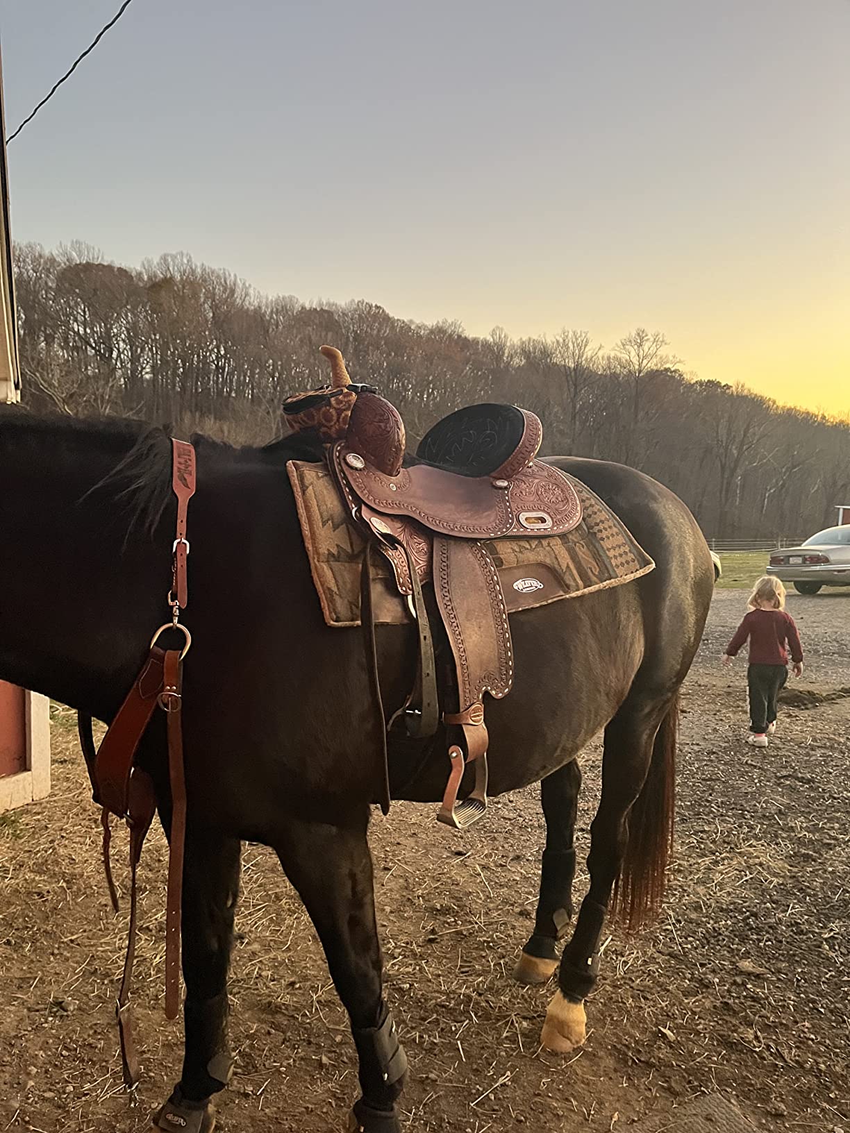 HILASON Western Horse Barrel Racing Saddle Trail American Leather | for Horses customer photo 2