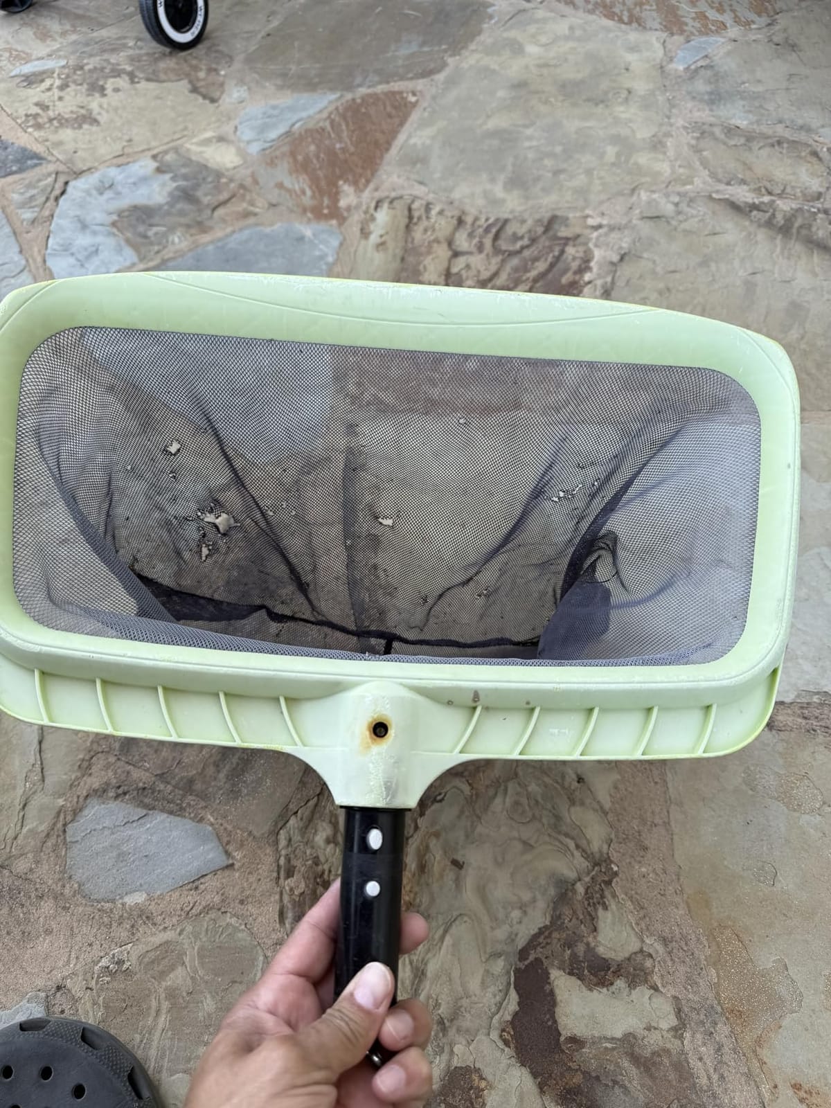Sepetrel Swimming Pool Leaf Skimmer Net,Reinforced Frame Deep Rake Net customer photo 2