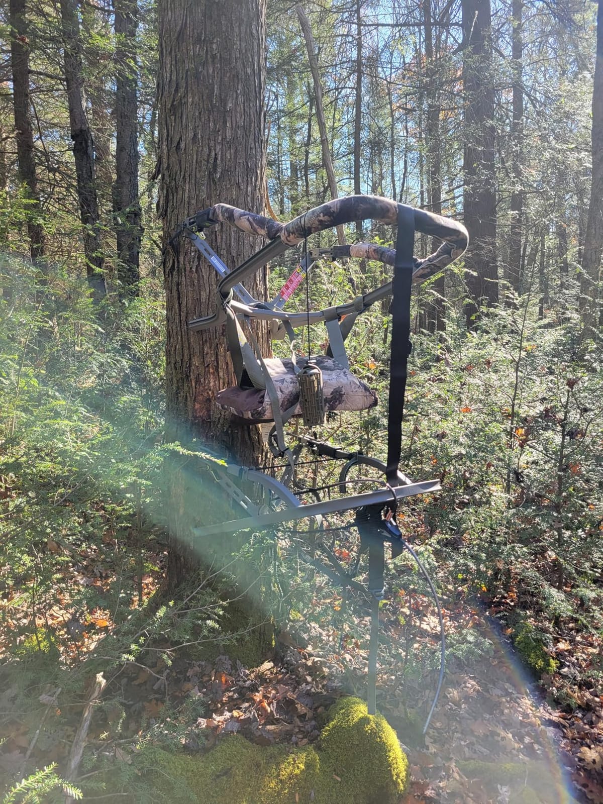 Summit Treestands Viper Pro SD Climbing Treestand, Mossy Oak Elements Terra customer photo 1