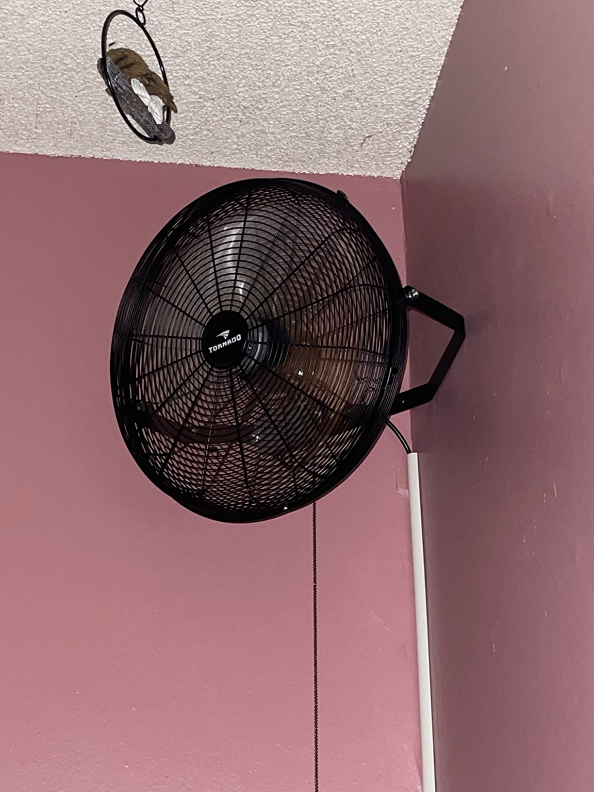 Tornado - 24 Inch High Velocity Industrial Wall Fan 3 Speed - 6.5 FT Cord - Industrial, Commercial, Residential Use - UL Safety Listed customer photo 1