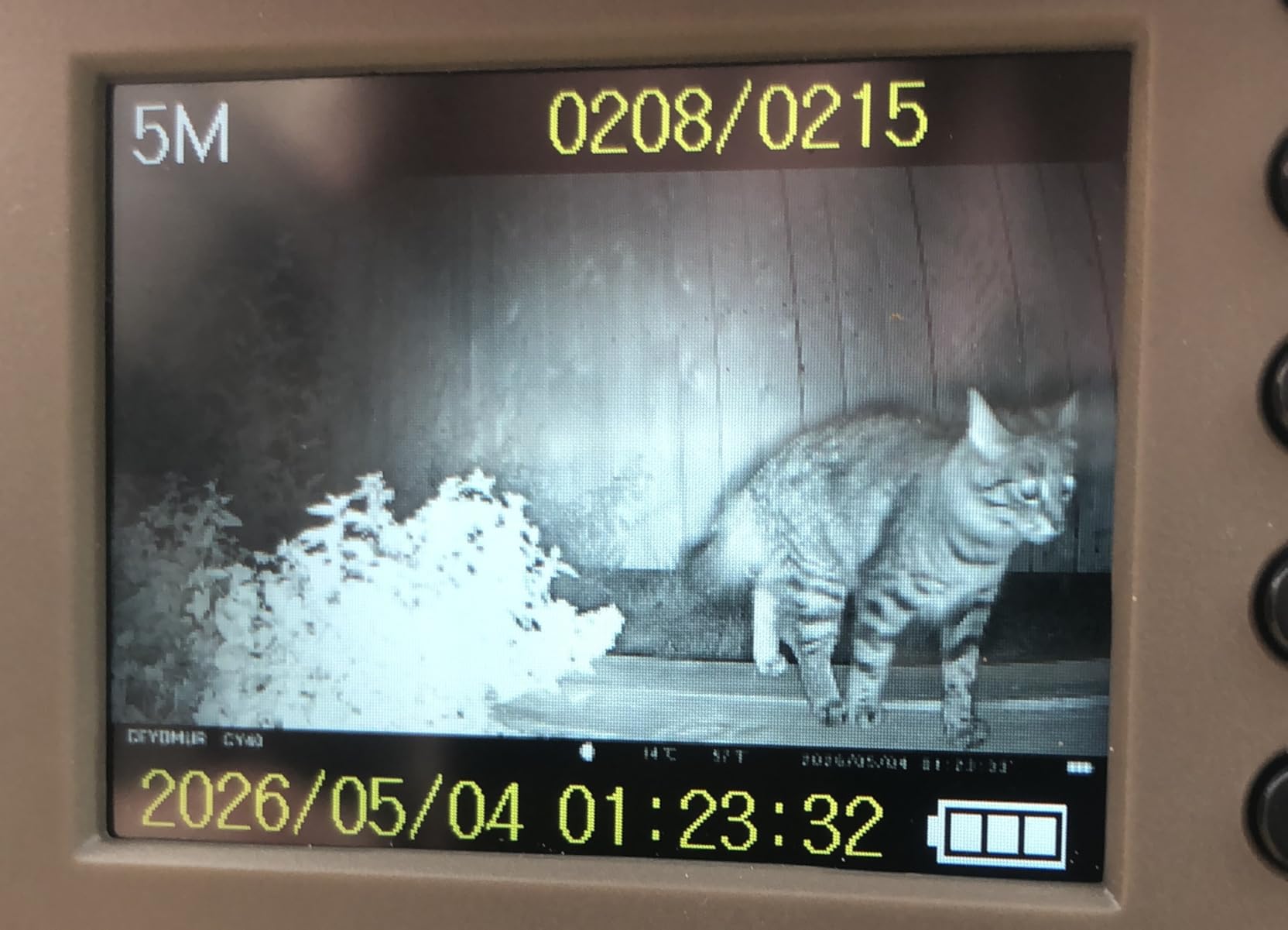 CEYOMUR Trail Camera, 36MP HD Trail Cam with Night Vision Motion Activated customer photo 1