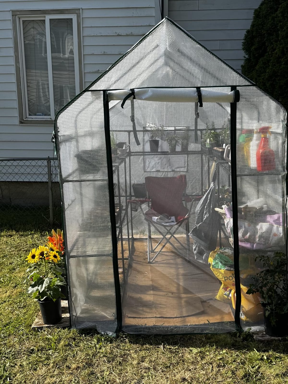 SUNGIFT Walk-in Greenhouse, 57 x 61 x 80 in, 3 Tiers 10 Shelves customer photo 1