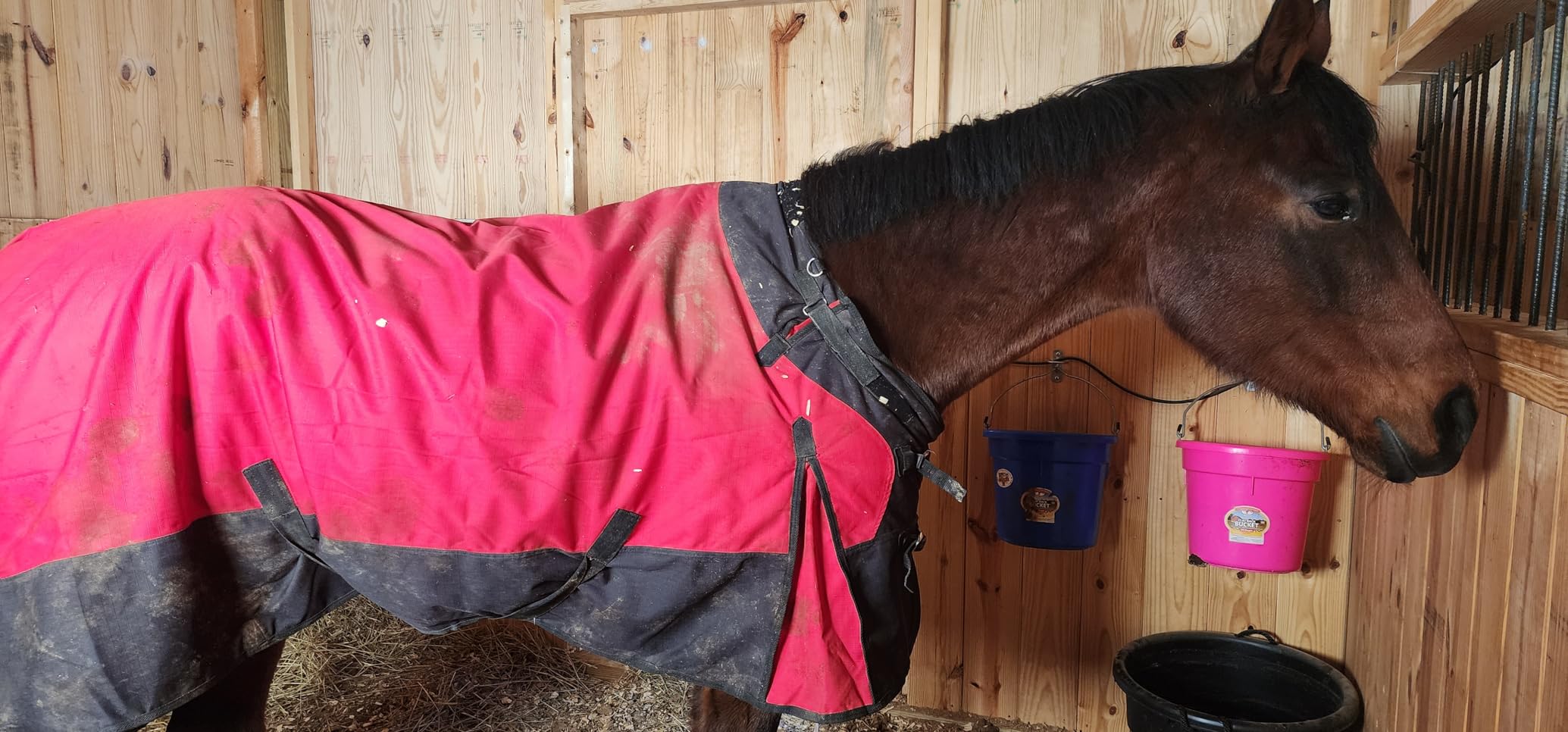 Challenger 1200D Horse Turnout Waterproof Heavy Weight Winter Blanket 5EE20BG customer photo 2