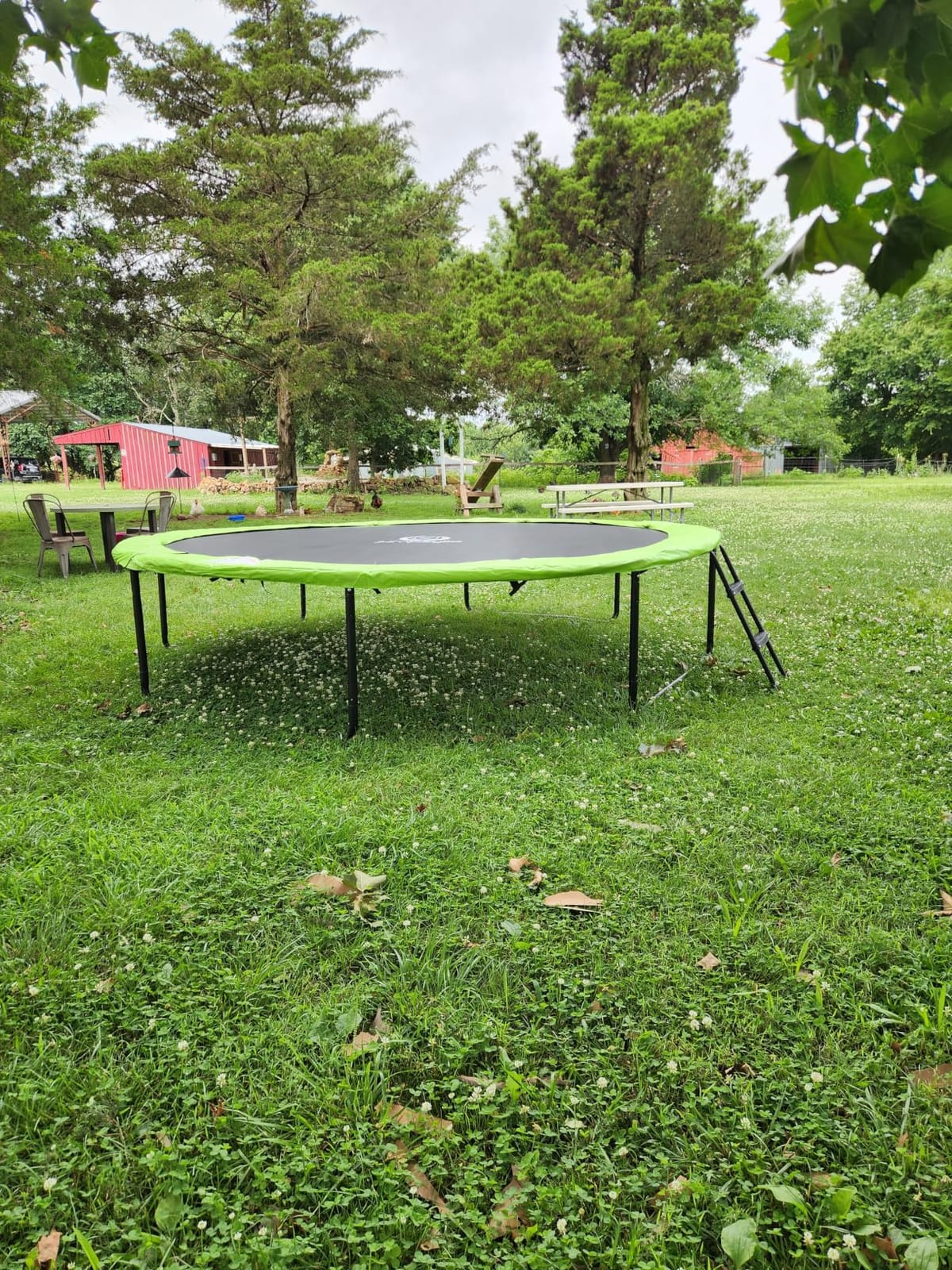 Jumpzylla Outdoor Trampoline with Net for Kids 8FT 10FT 12FT 14FT 15FT 16FT customer photo 1