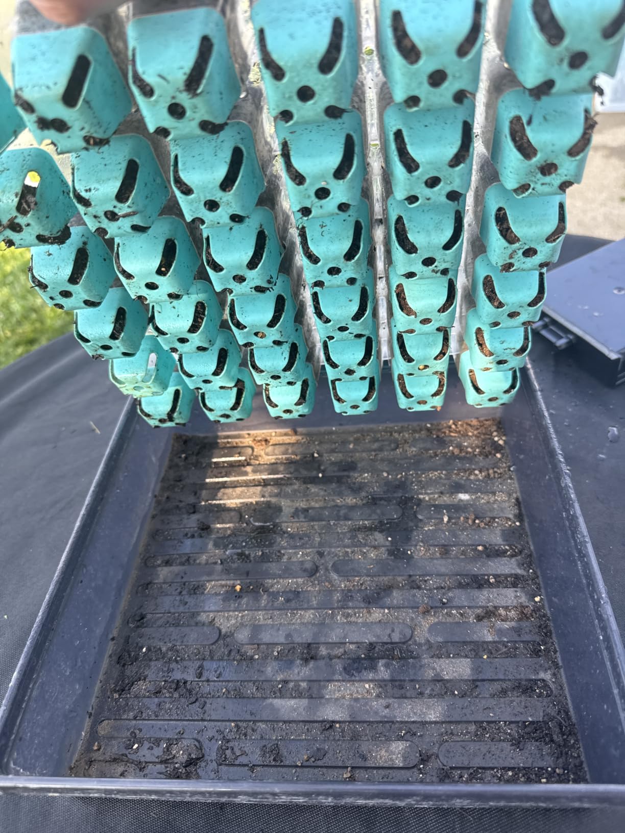 Burpee SuperSeed 36-Cell Reusable Seed Starting Tray for Indoor Seedlings customer photo 1