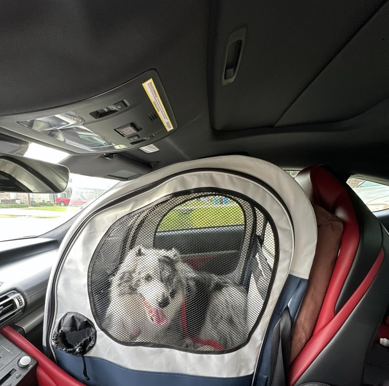 PetSafe Happy Ride Collapsible Travel Dog Crate customer photo 1