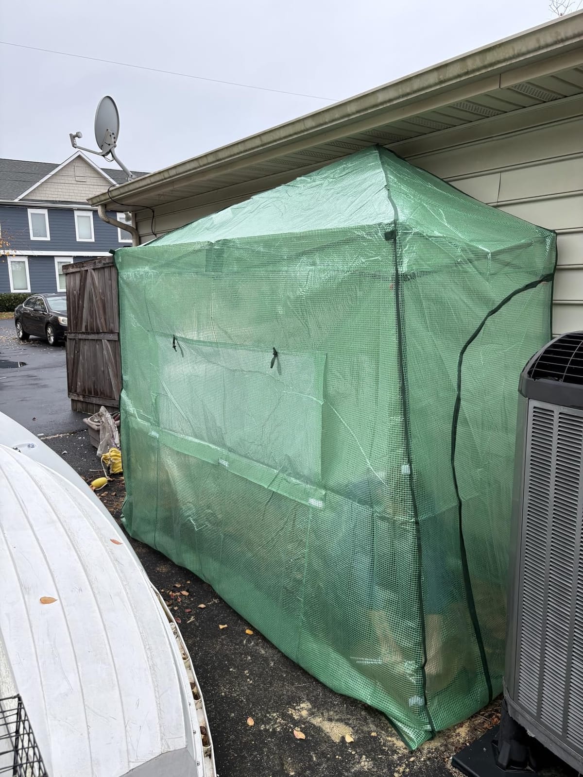 EAGLE PEAK 10x5 Easy Setup Pop Up Greenhouse, Lean-to Design, Clear/Green customer photo 1