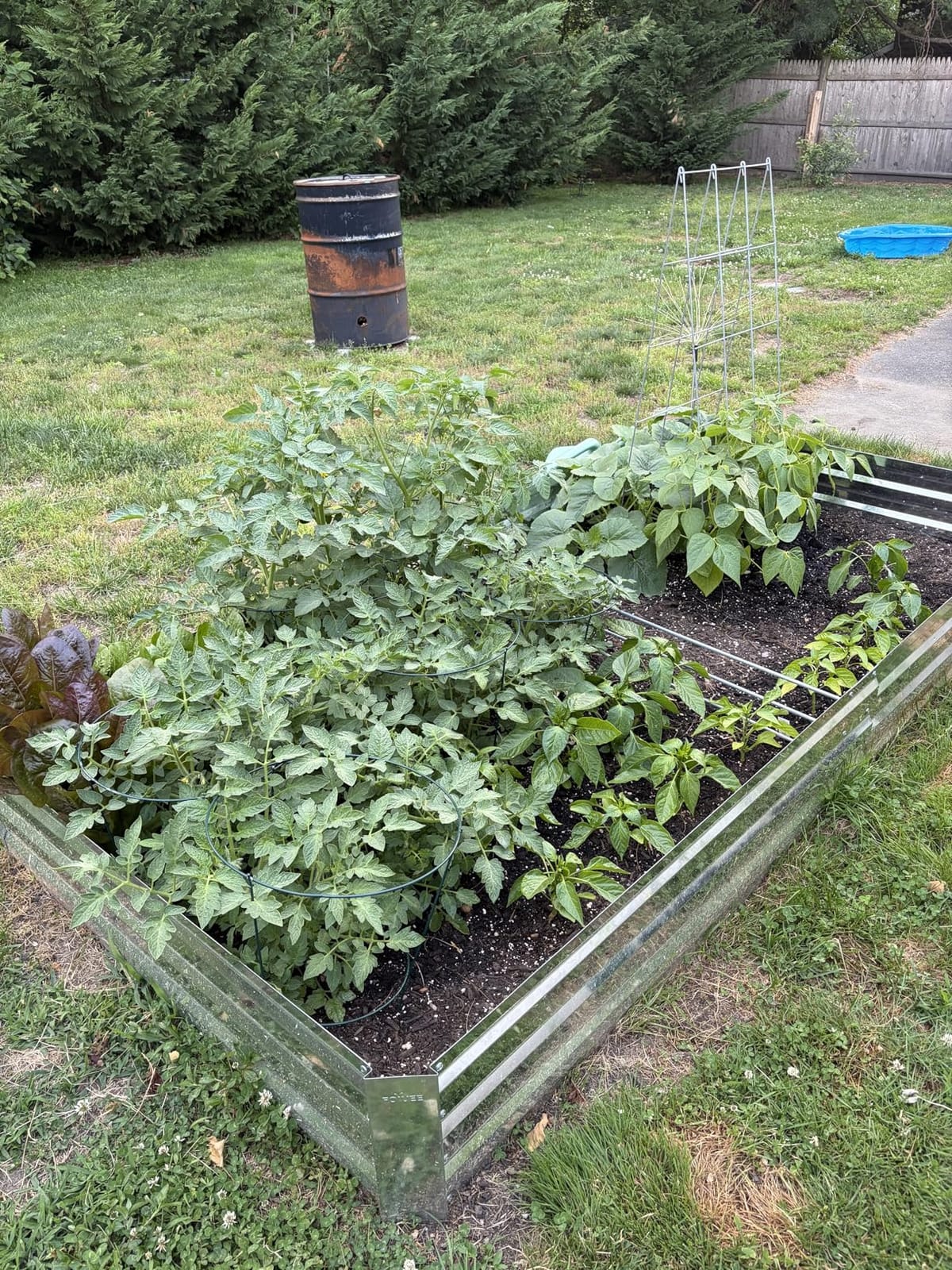2-Pack Galvanized Raised Garden Bed 8x4x1ft customer photo 2