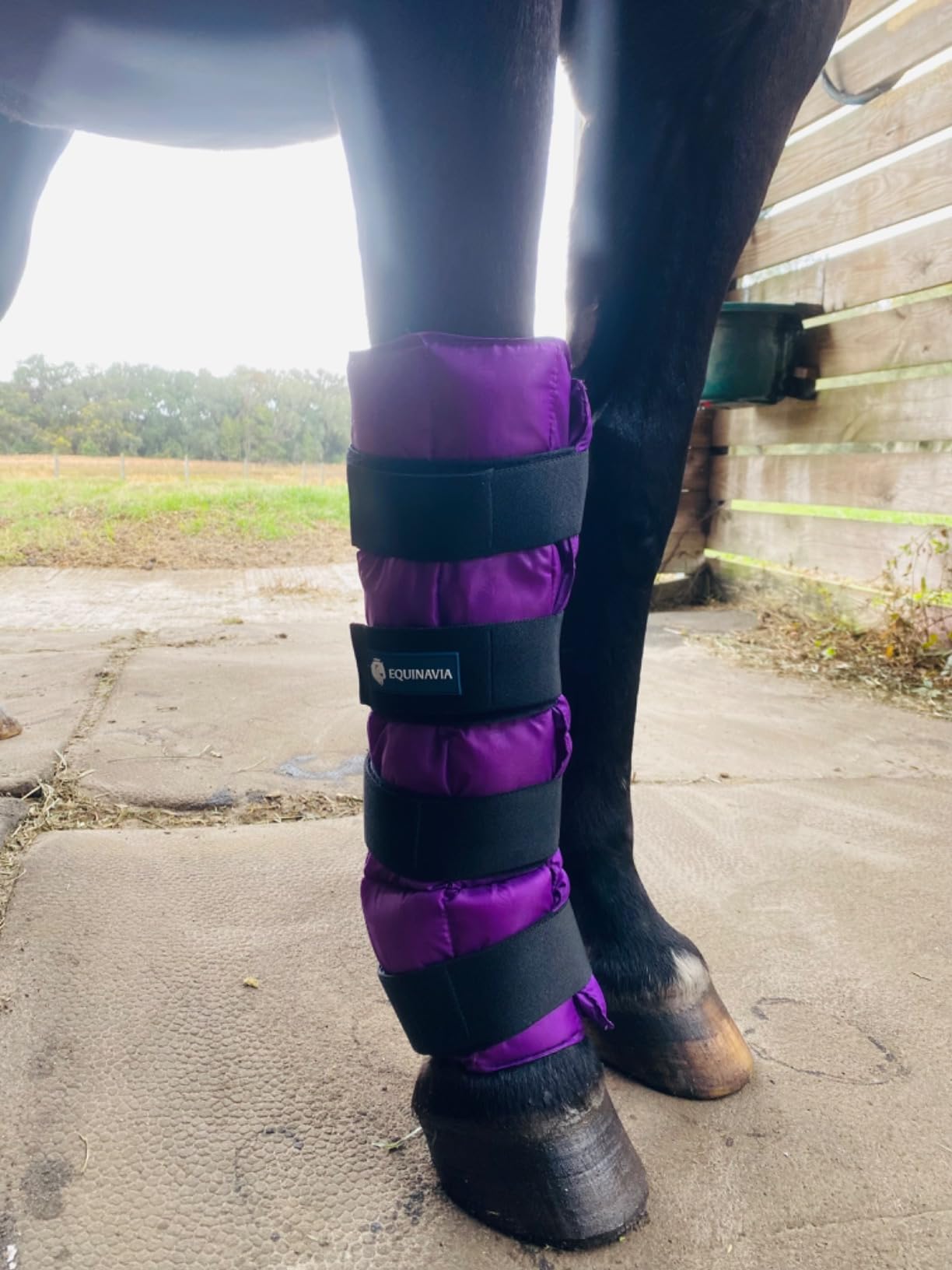 Equinavia Cool Relief Therapy Ice Wrap, Recovery Horse Ice Boots, One Size customer photo 2