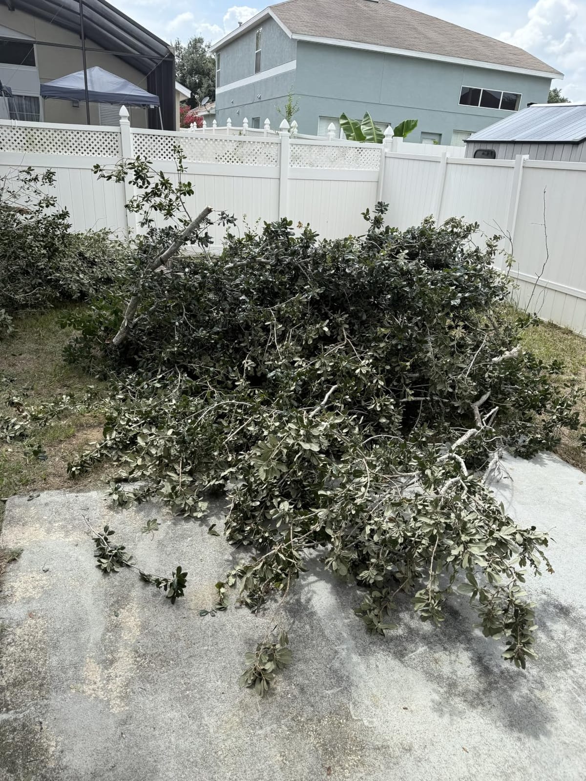 14FT Pole Saw for Tree Trimming 2-in-1 Hand Saw Steel Blade Extension Pole customer photo 1