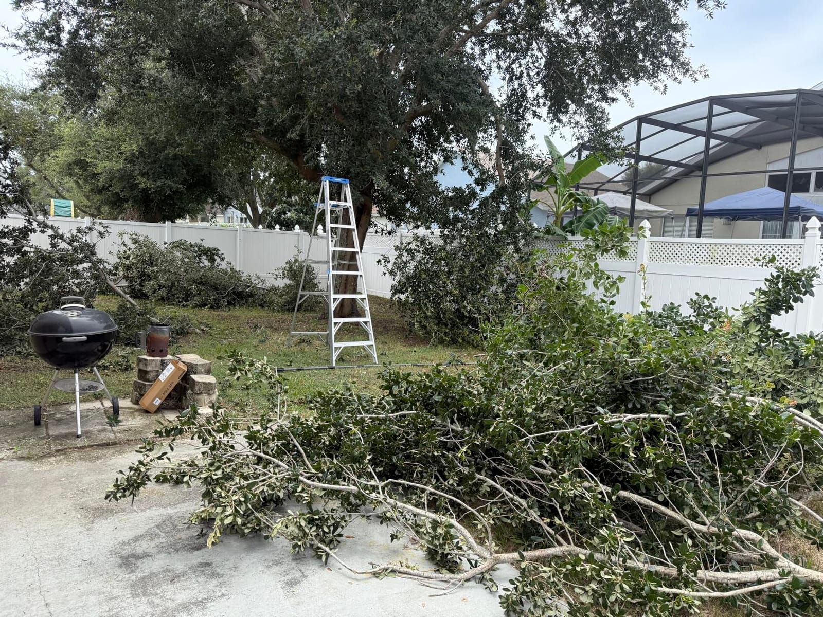 14FT Pole Saw for Tree Trimming 2-in-1 Hand Saw Steel Blade Extension Pole customer photo 2