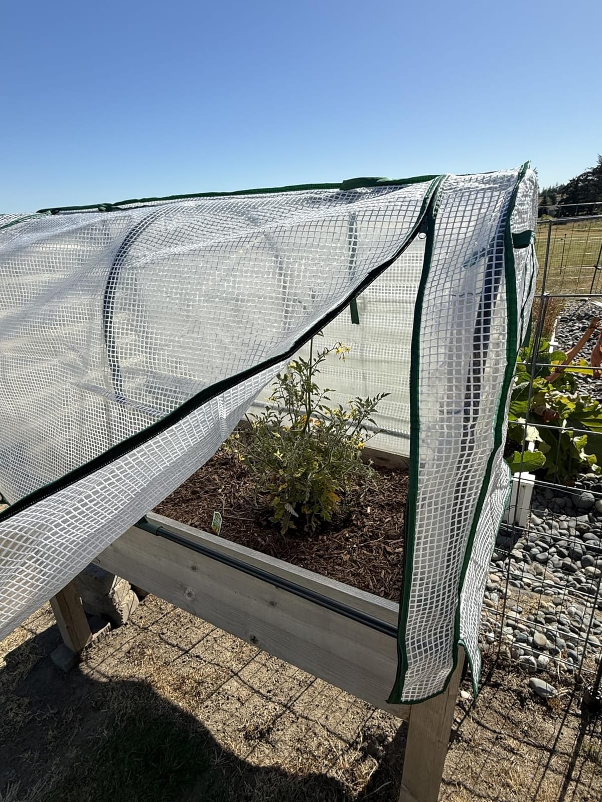 VIVOSUN Mini Lean-to Greenhouse, 6.6’ x 3.3’ x 6.9’ Portable Wall House with White PE Cover and Shelf for Compact Garden 79x39x83-Inch customer photo 1